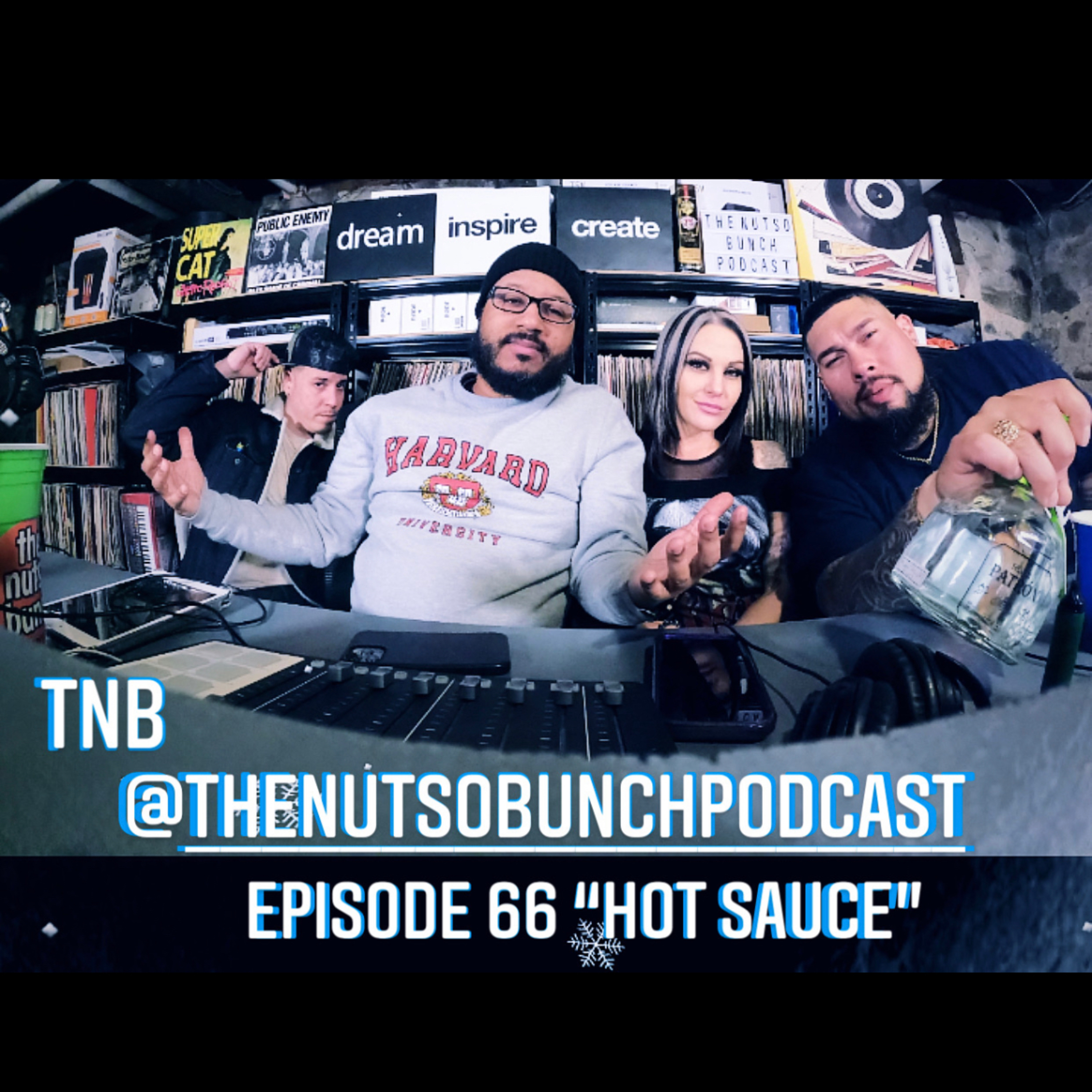 The Nutso Bunch Podcast