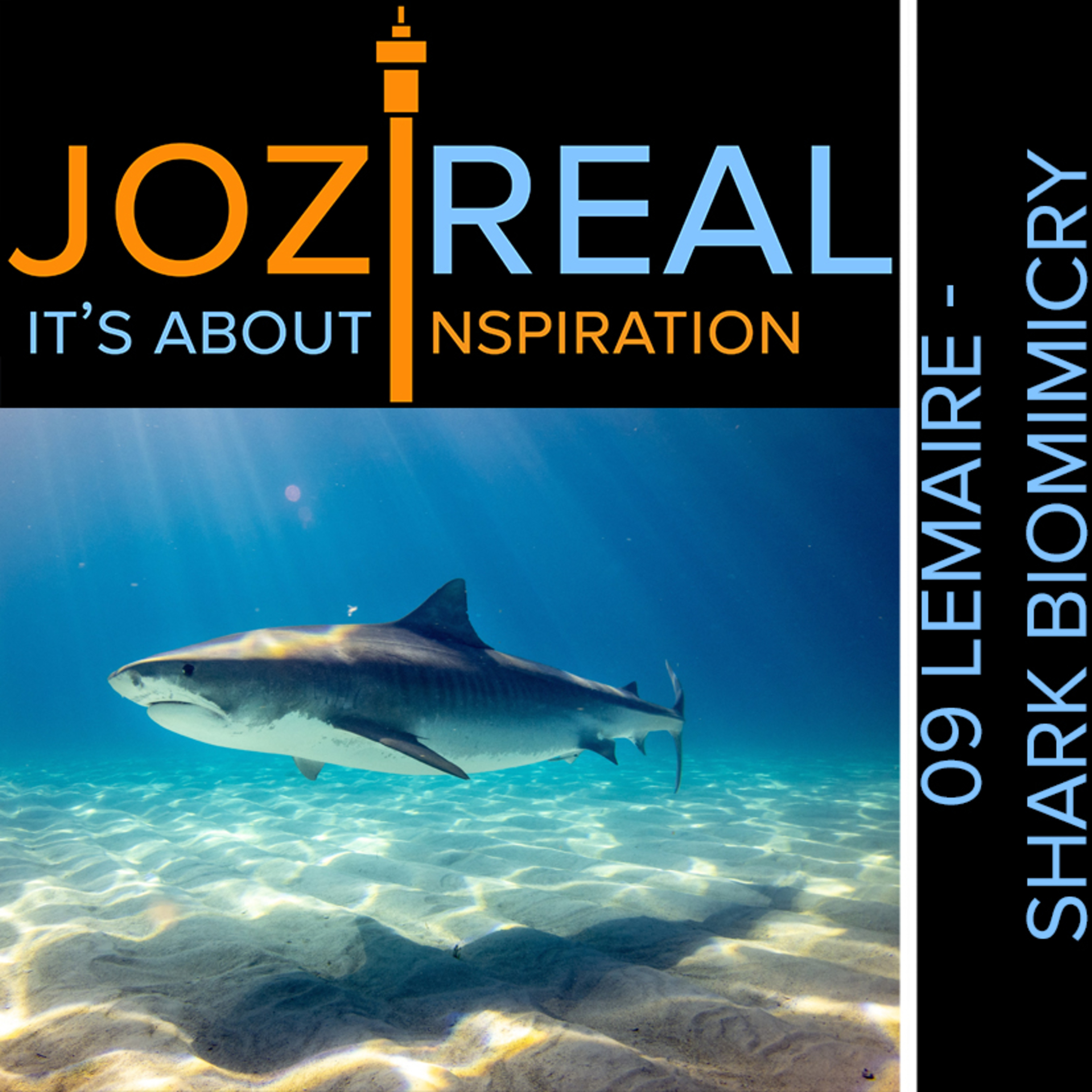 JoziReal
