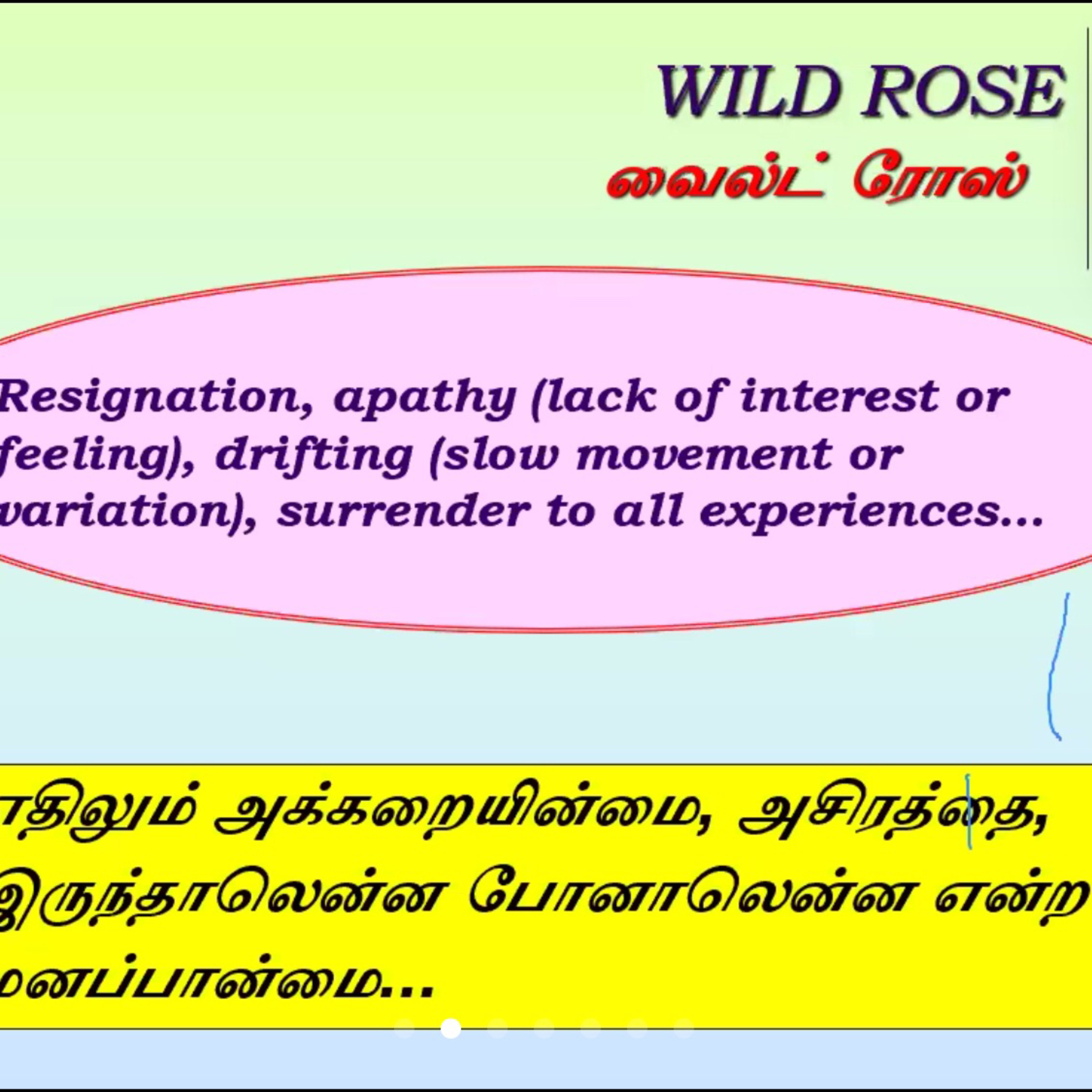 Shyamala acupuncturist