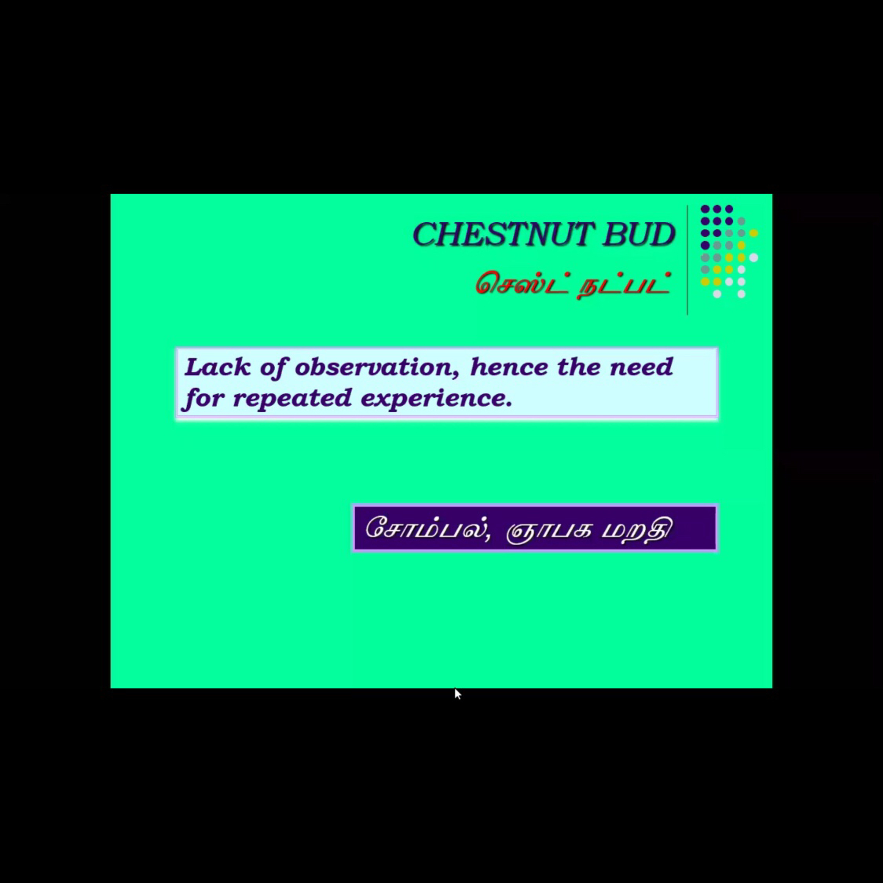 Shyamala acupuncturist
