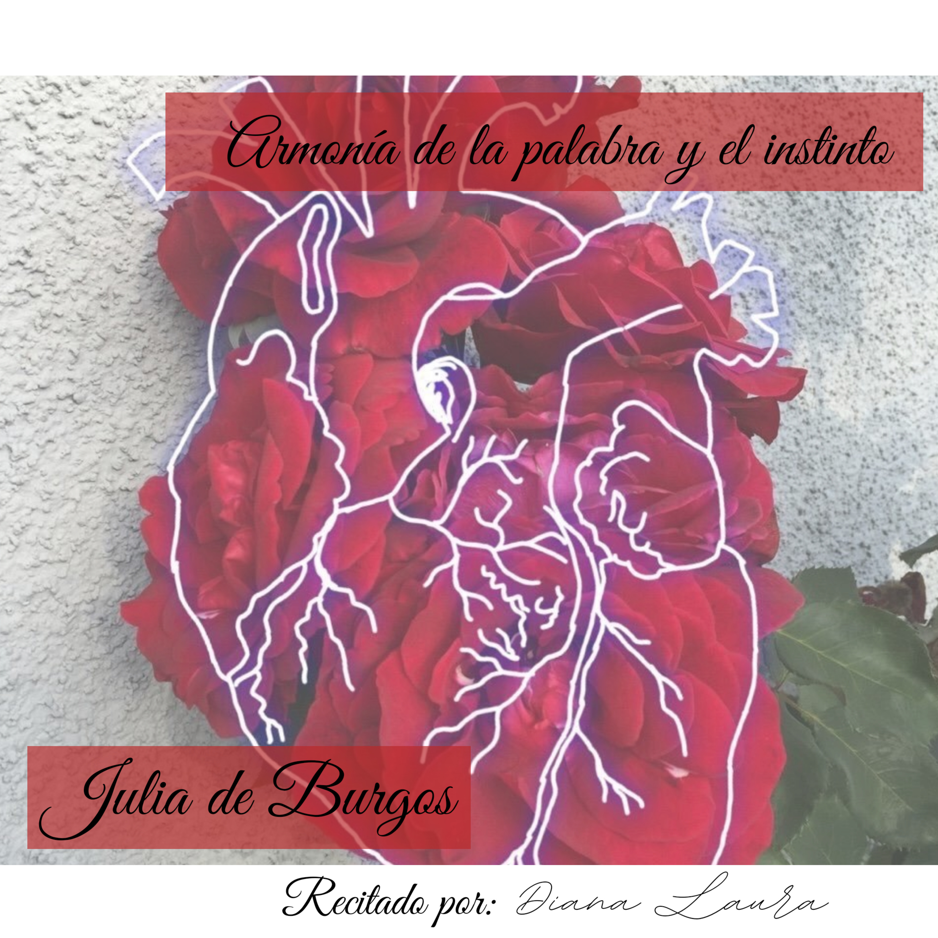 (P)edacito (O)nírico (E)ncaminado al (S)usurro (I)nquieto del (A)lma.