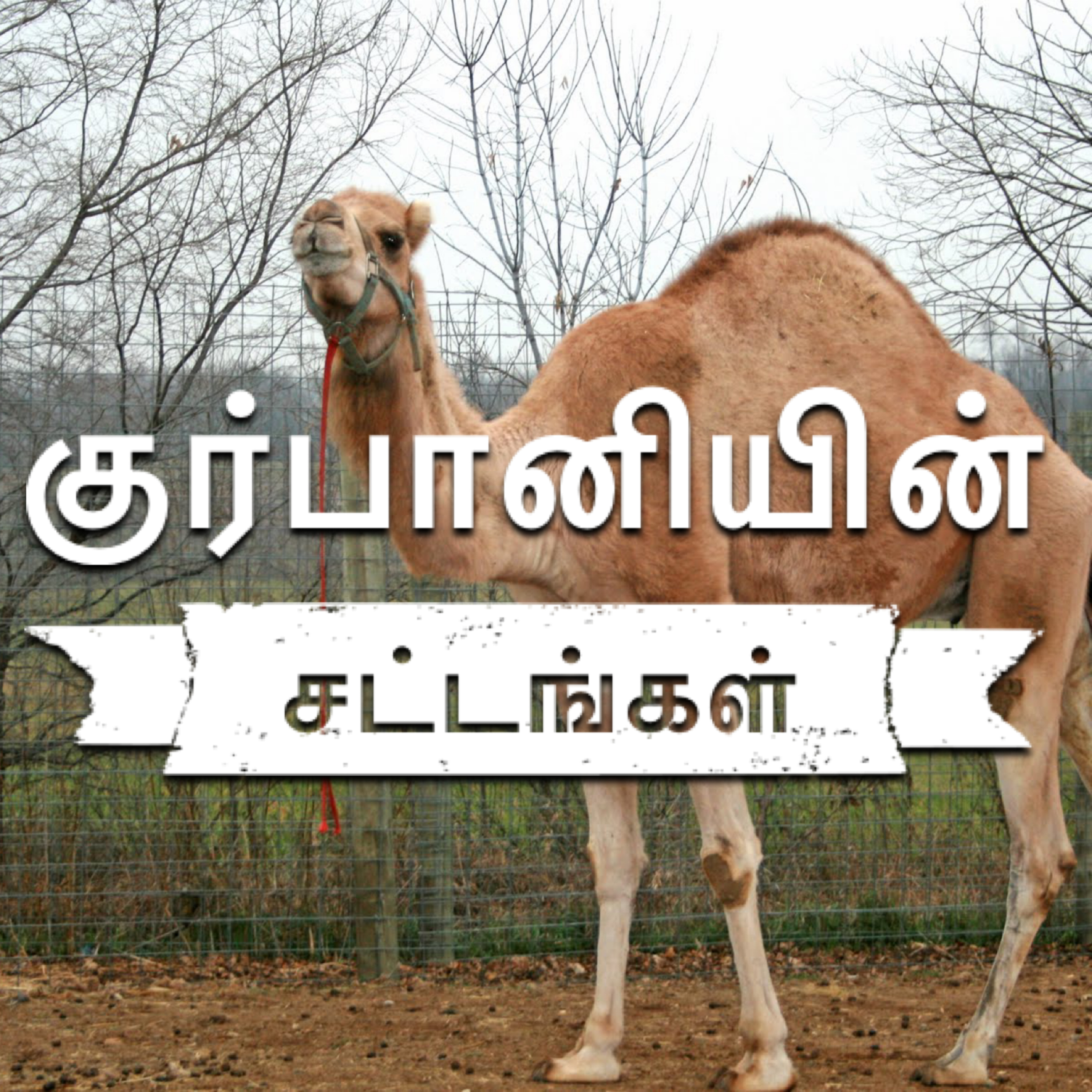 குர்பானியின் சட்டங்கள் - 3 episode artwork