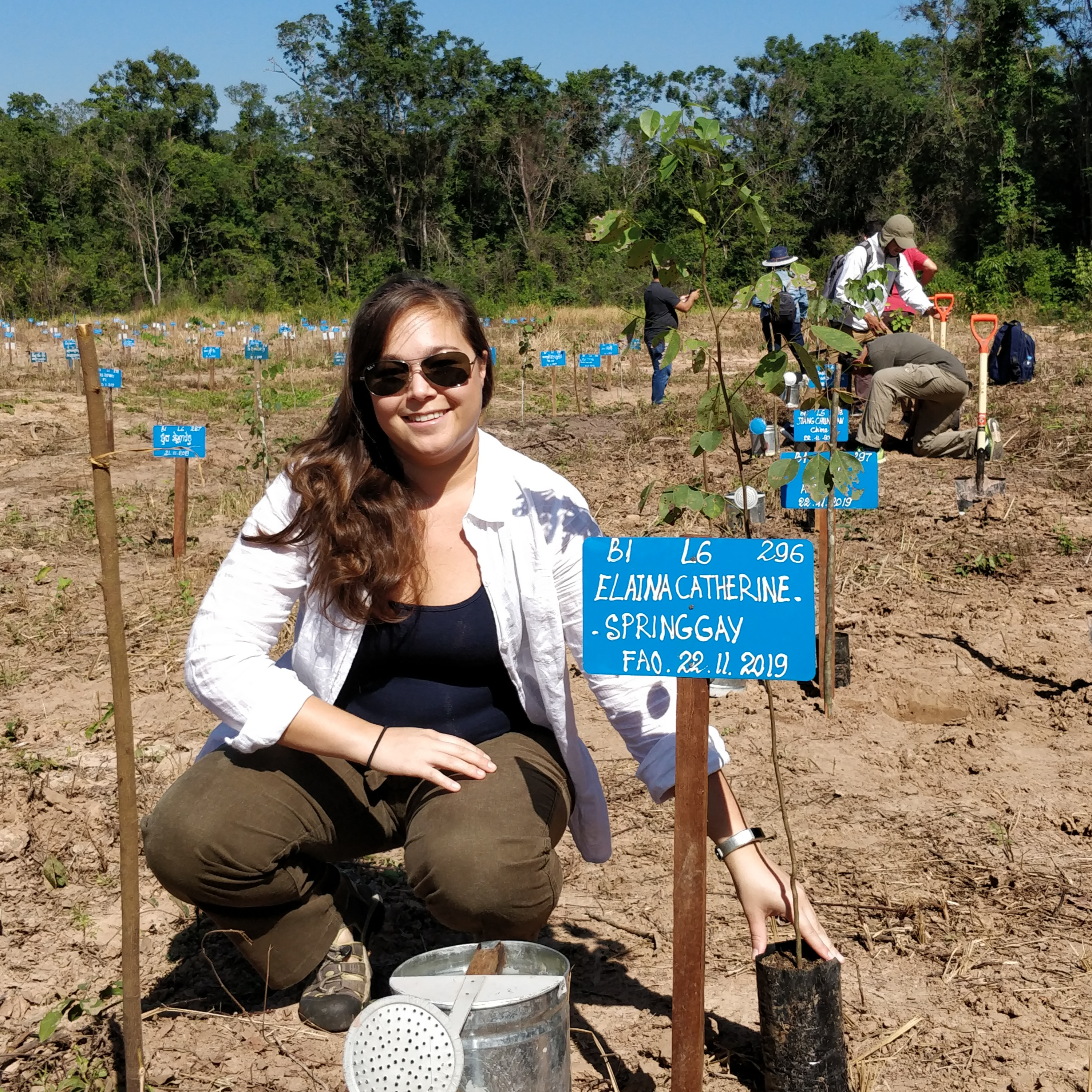 Forestry People Who Rock - Elaine Springgay FAO Officer and ForYP Founder - Episode 74