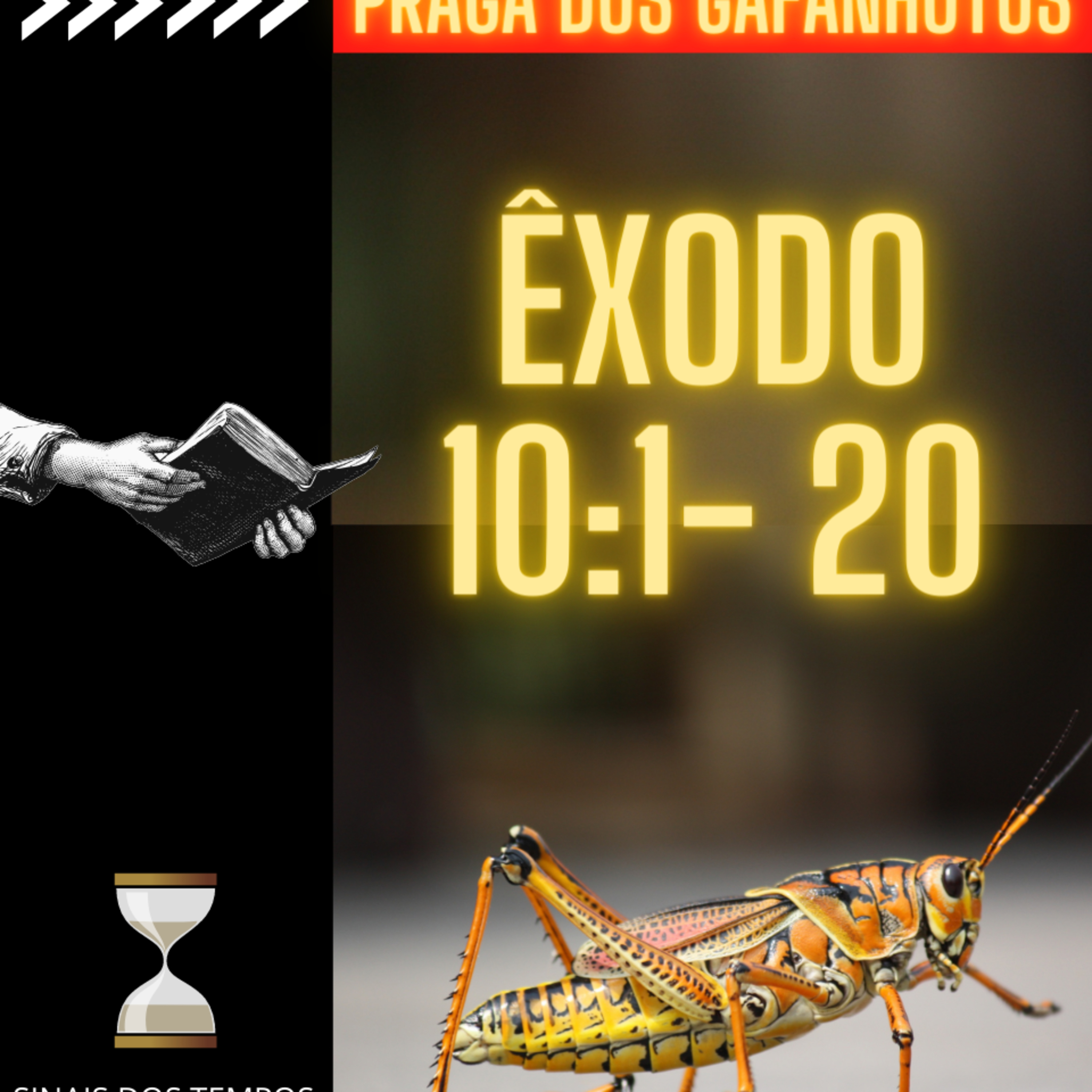 Oitava Praga: Gafanhotos. Êxodo capítulo 10 versos 1 a 20 episode artwork