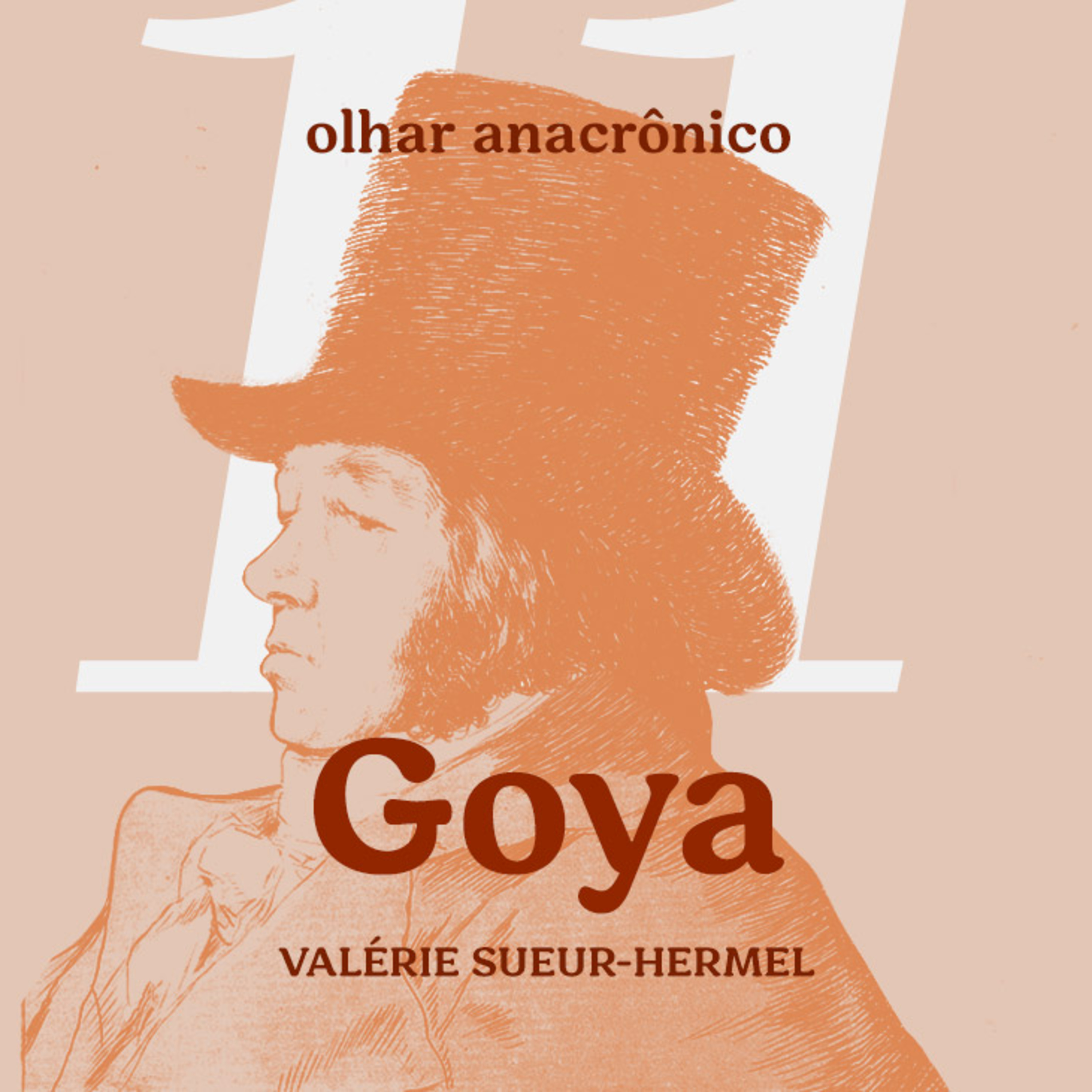 Olhar Anacrônico