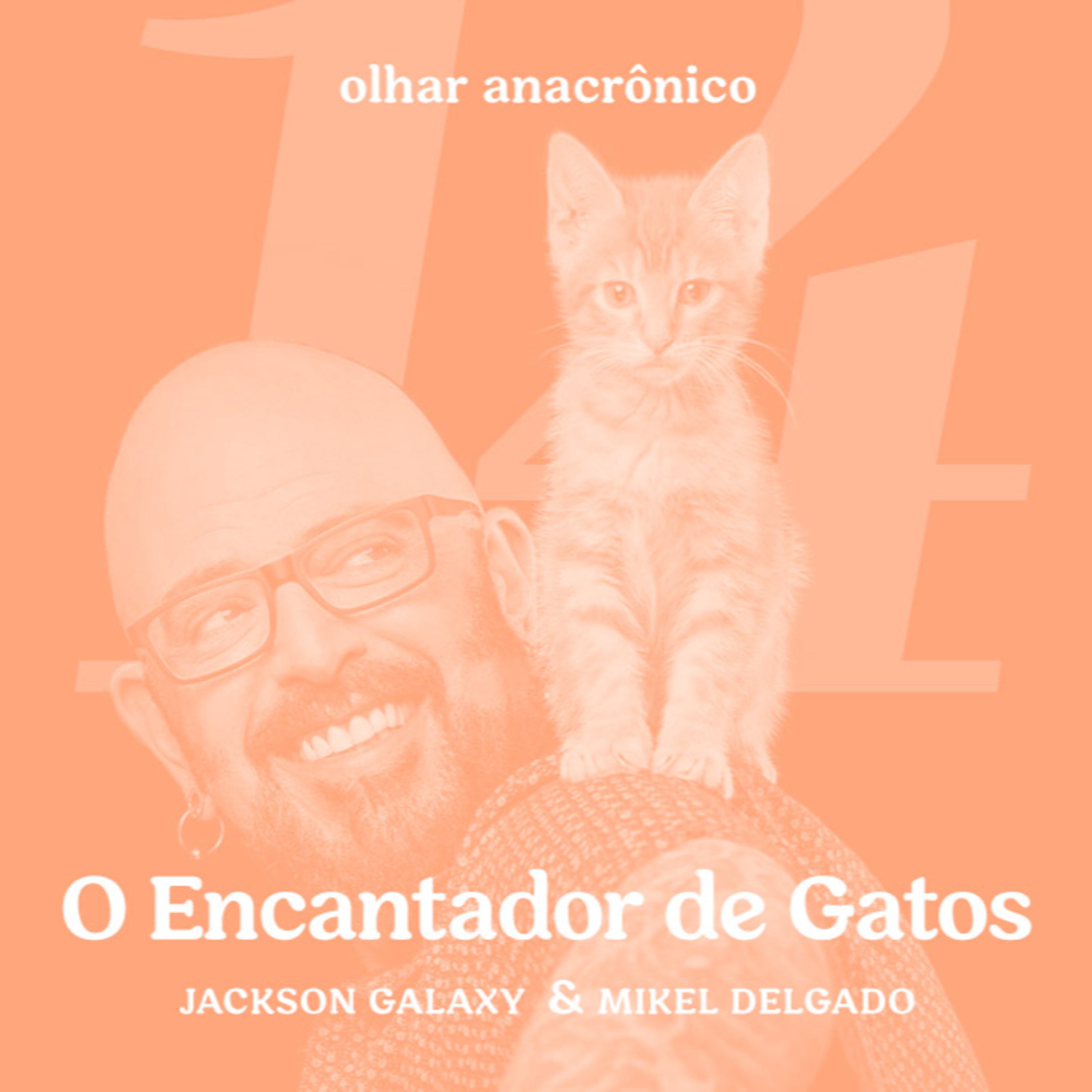 Olhar Anacrônico