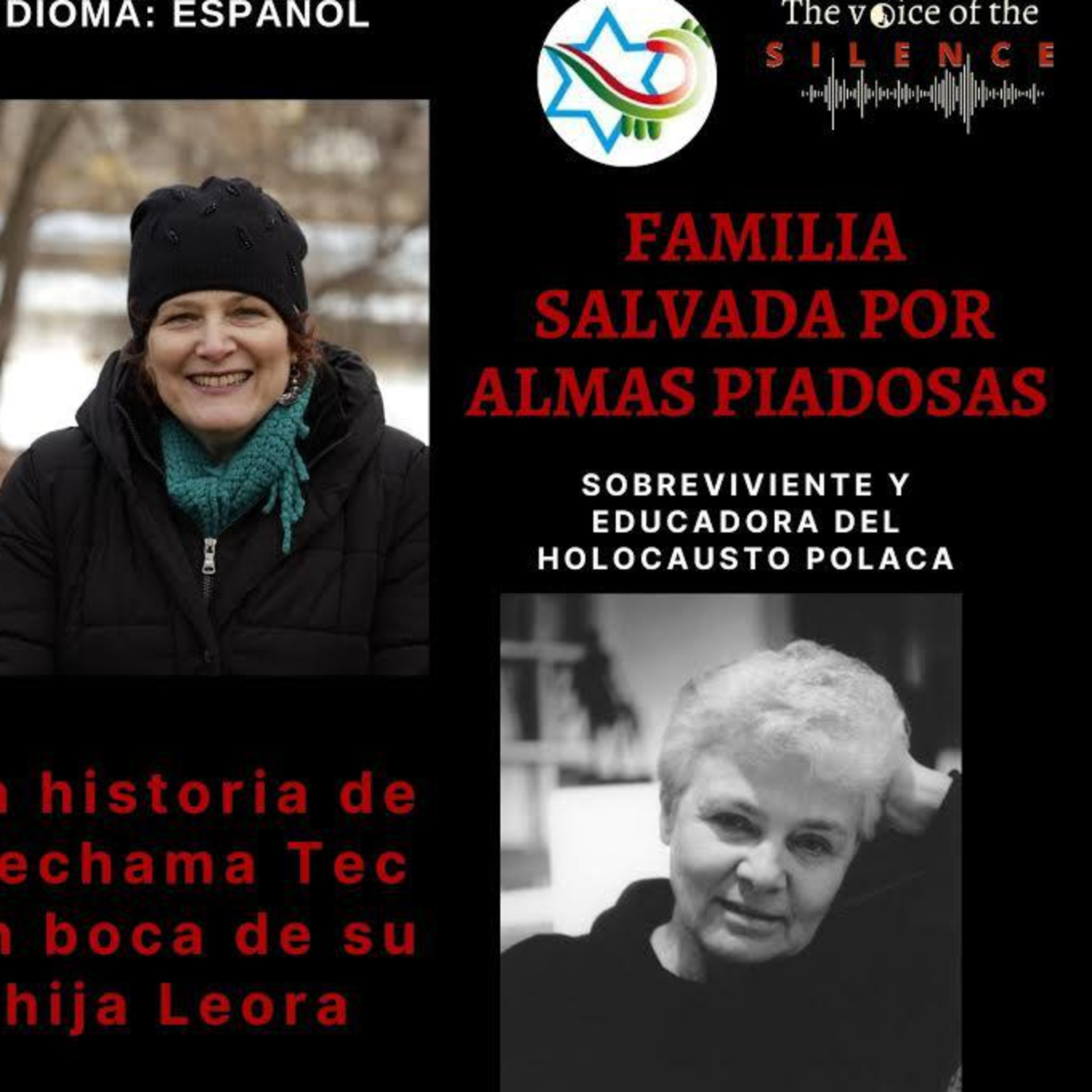 DiarioJudio.com