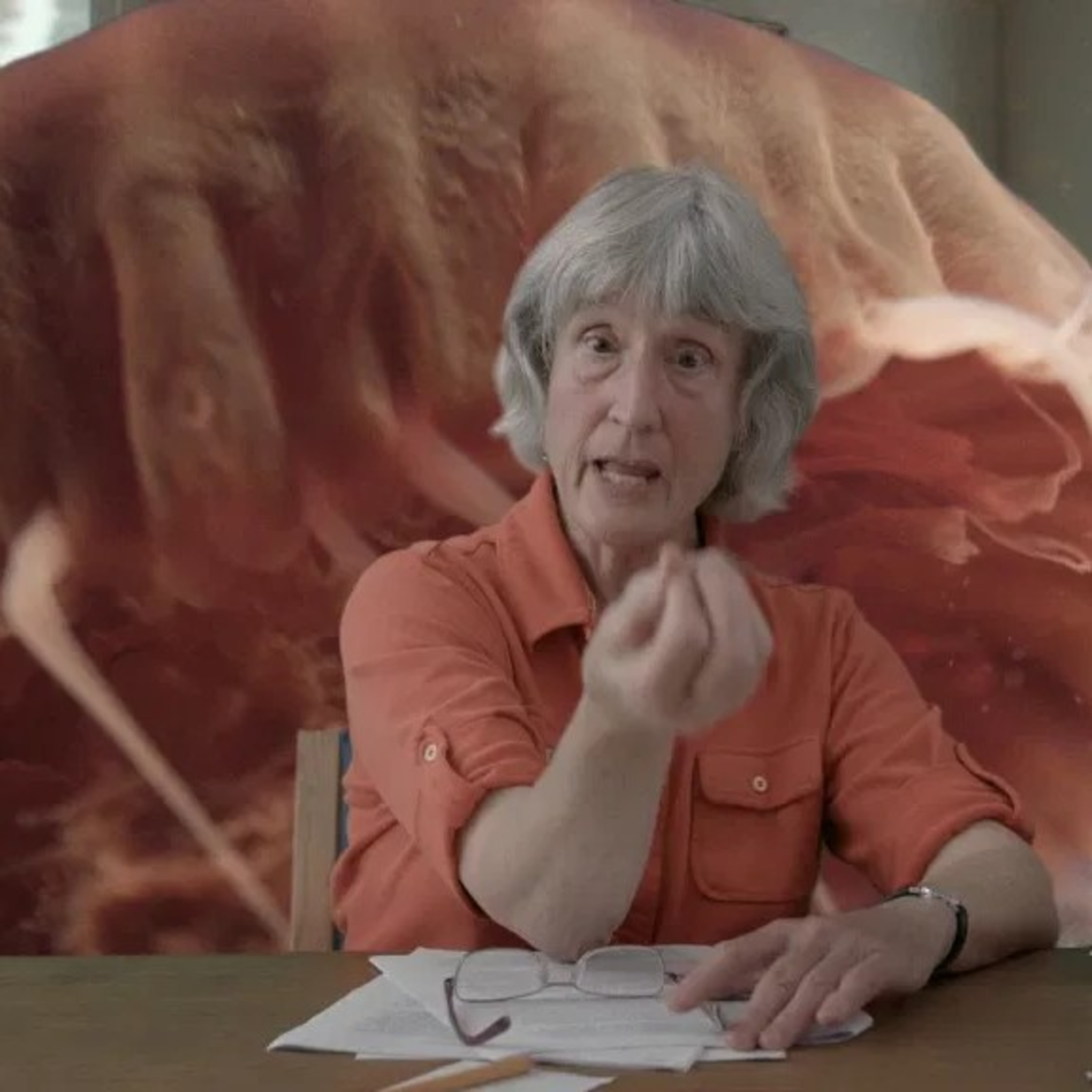 Donna Haraway. Manifiesto para cyborgs