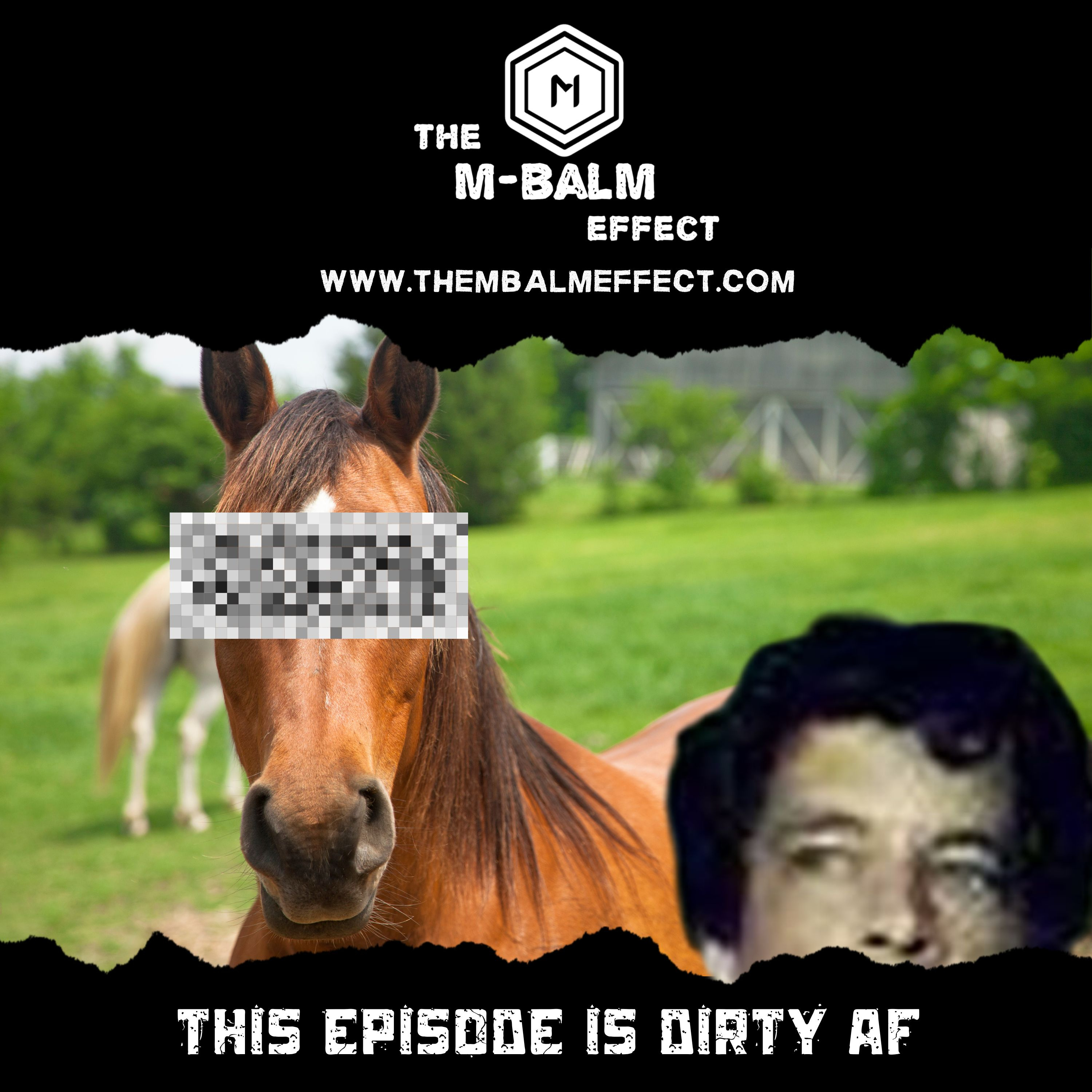 Horse And Or Bull Penetration, Controller Vibration, Rochester NY Break In's 2/4/2023 episode artwork