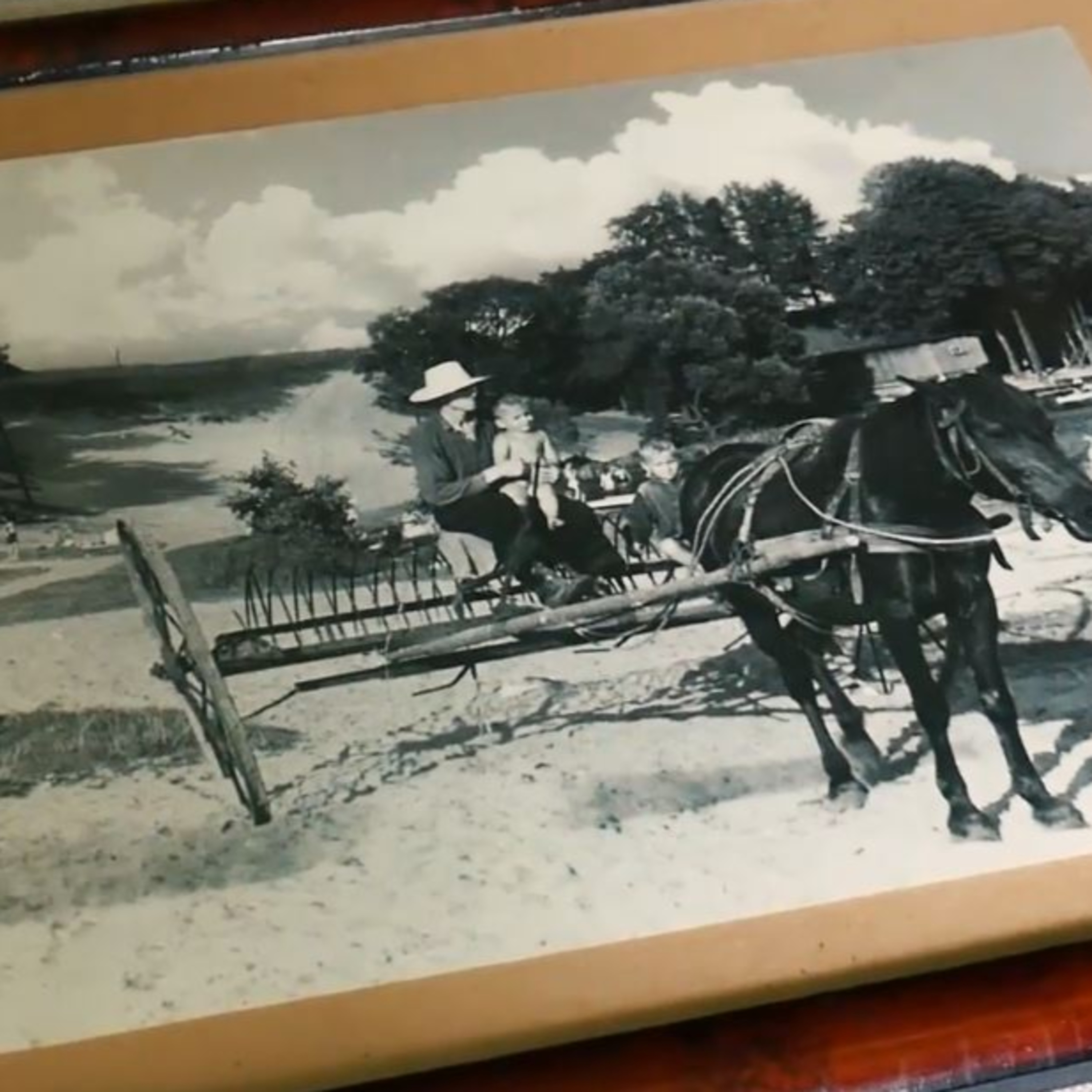 Historia zaginionych światów