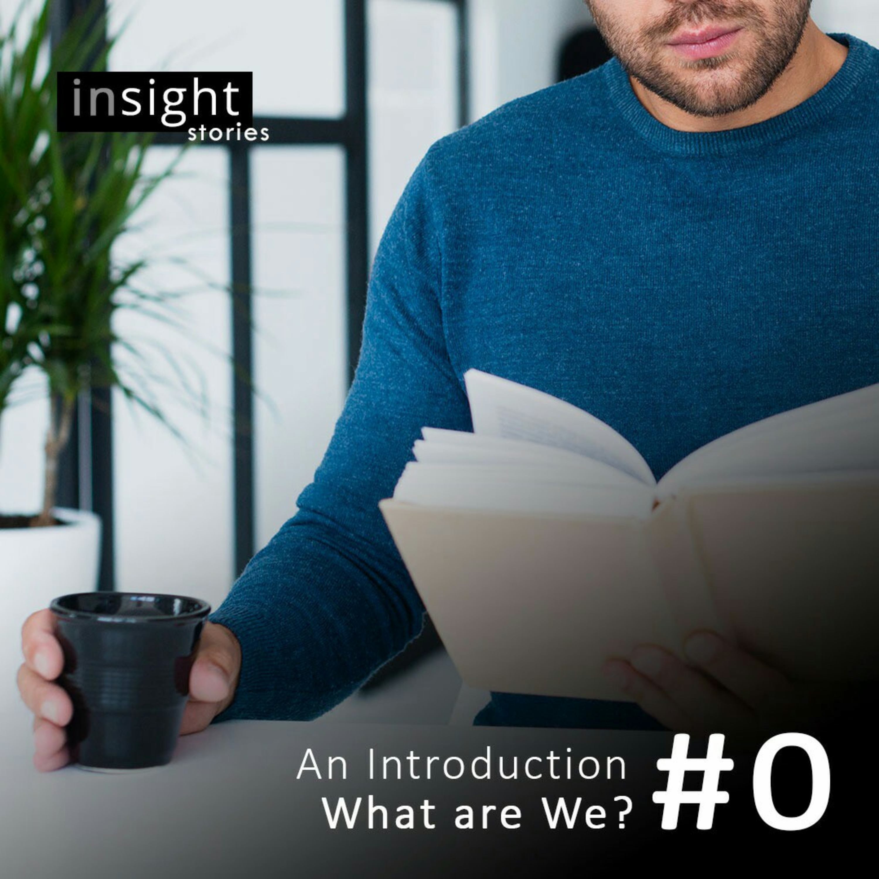 Introduction - What Are We? episode artwork