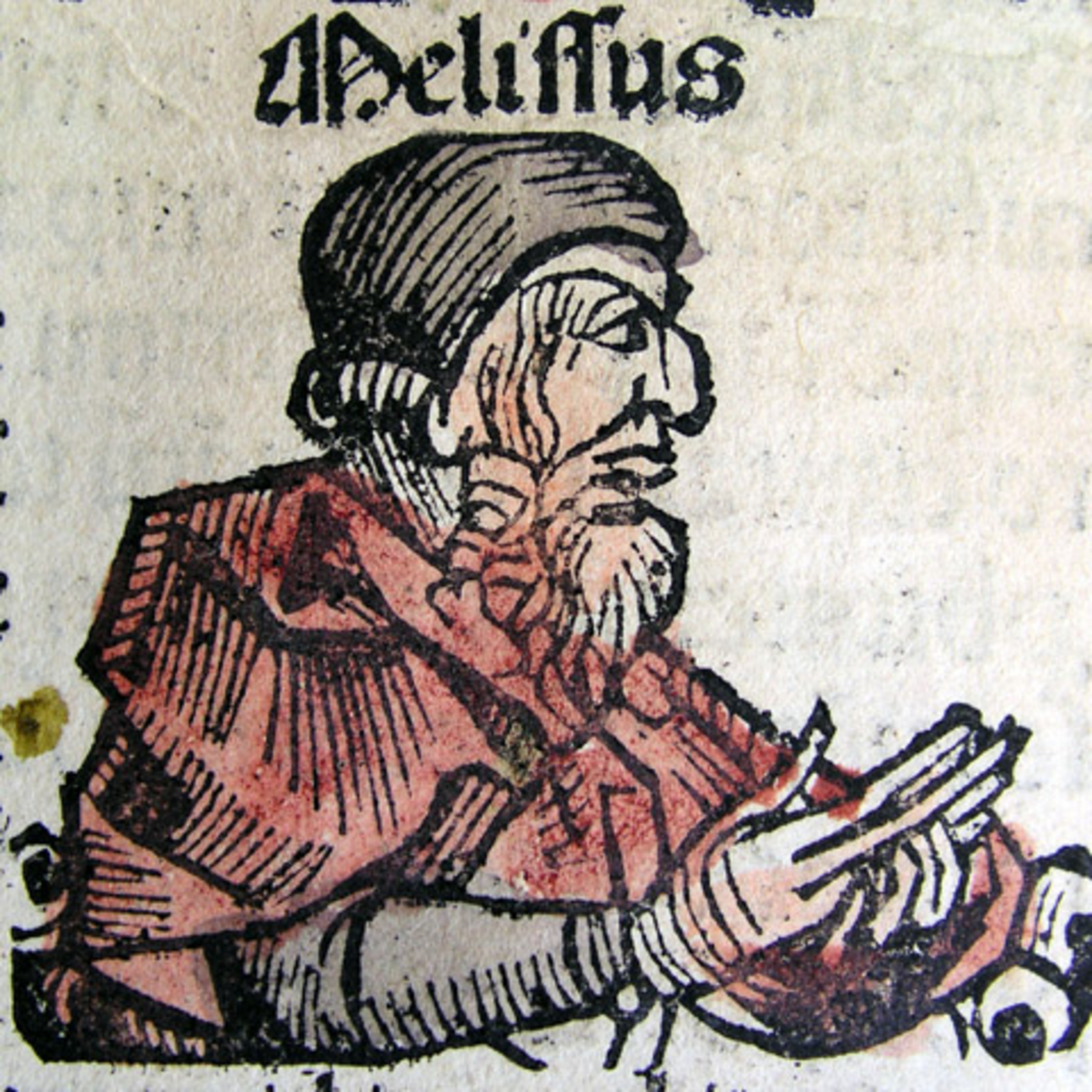 Sofiofilia
