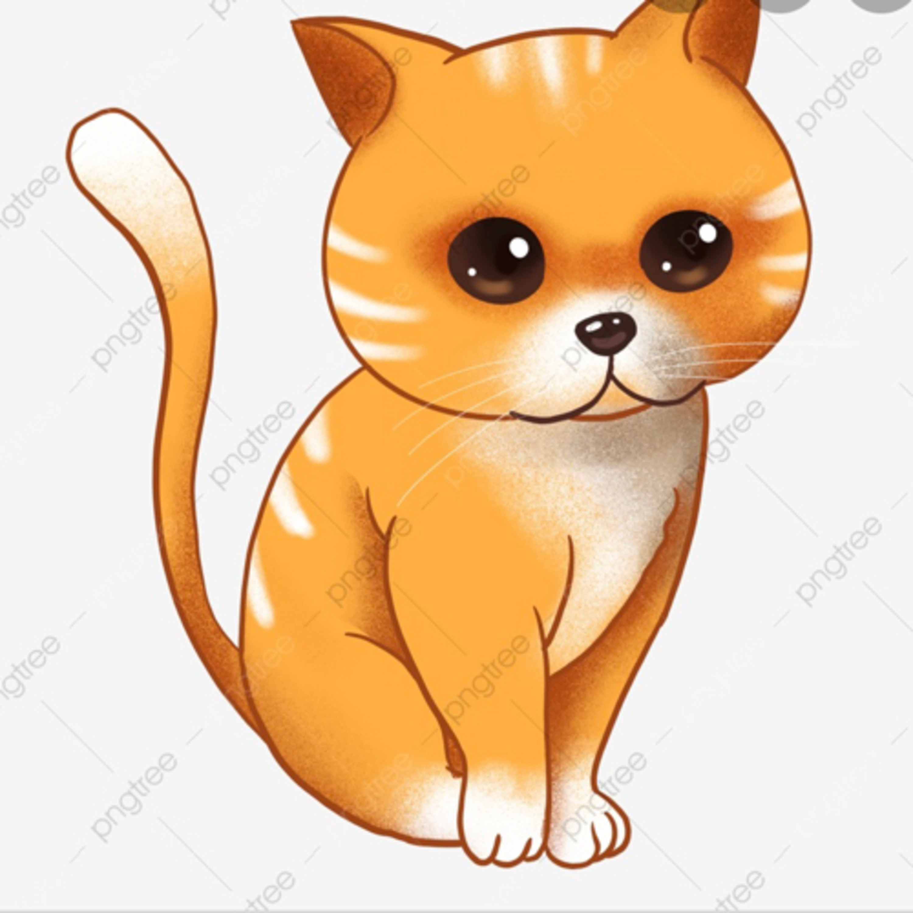 Cats in Quarantine episode artwork