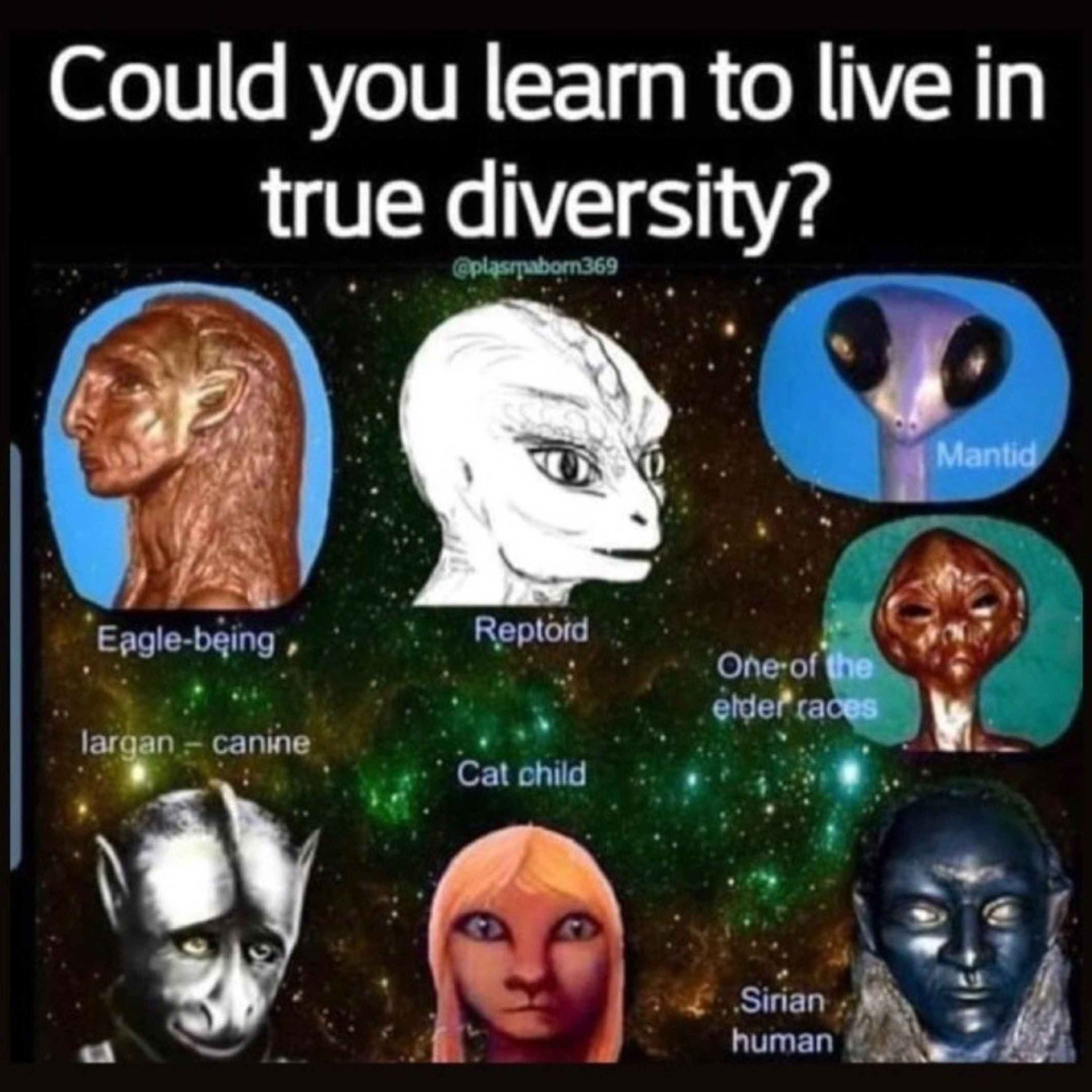 Exopolitics, Solar Warden, and Reality: interviewed by Richard Syrett