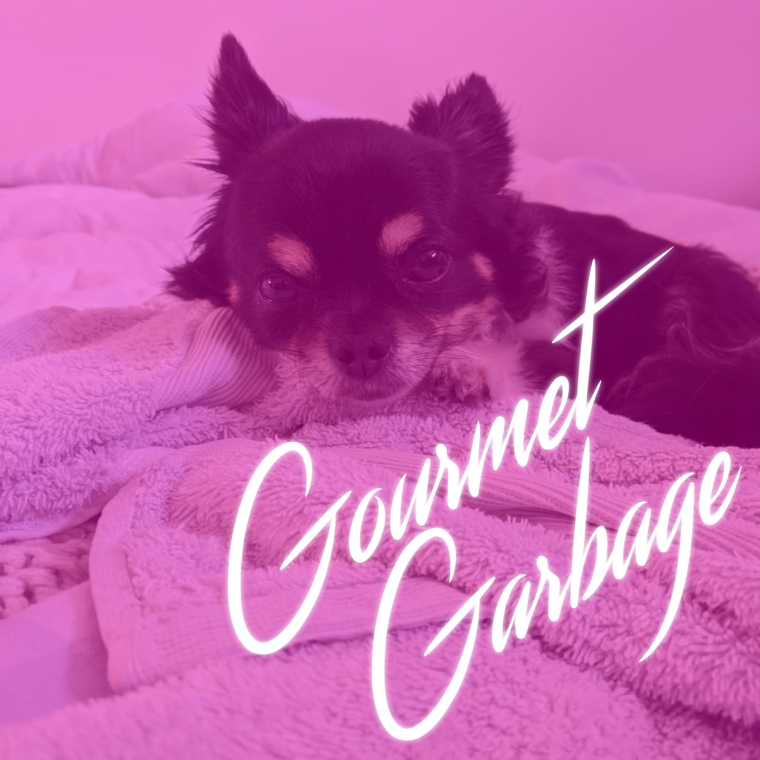 Gourmet Garbage