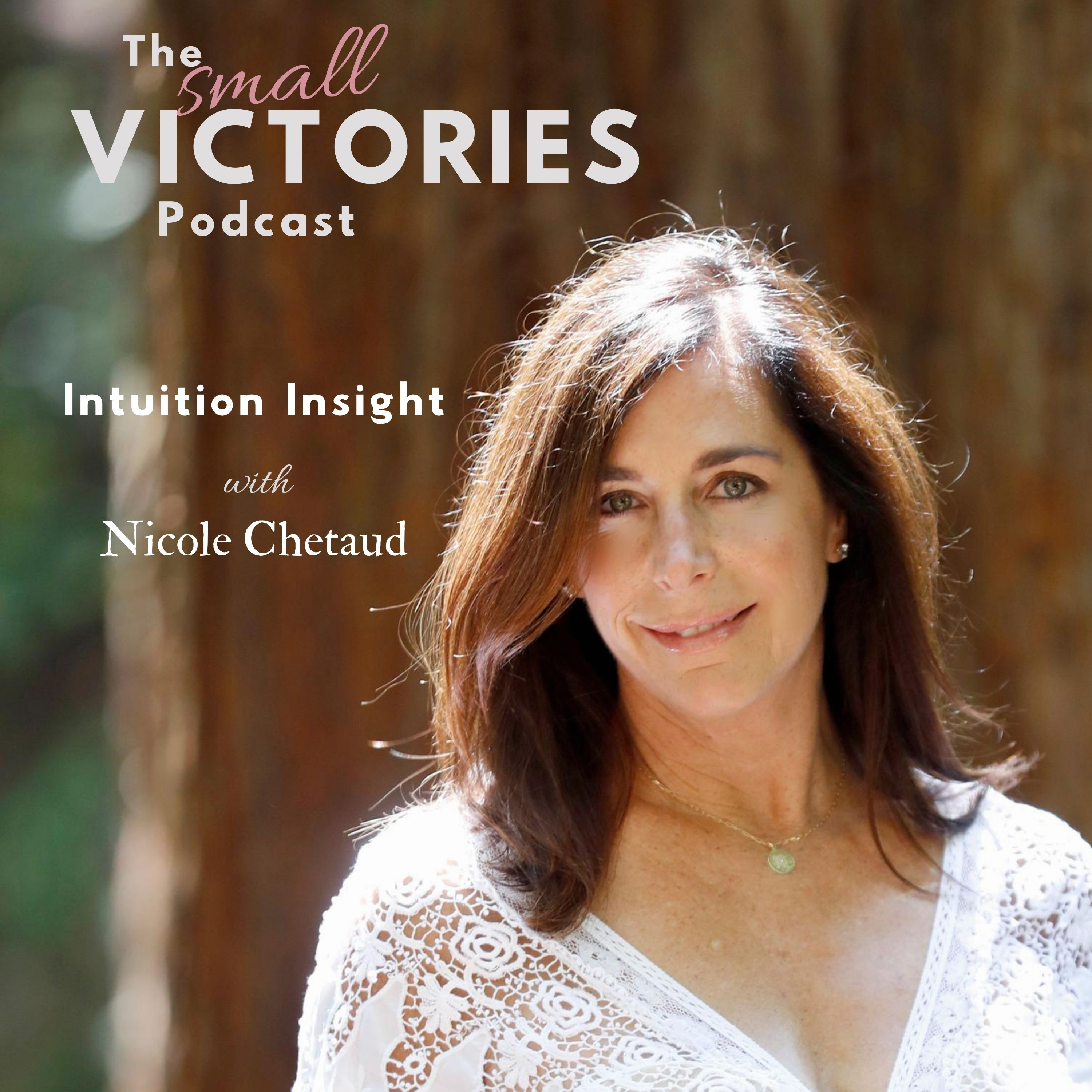 The Small Victories Podcast