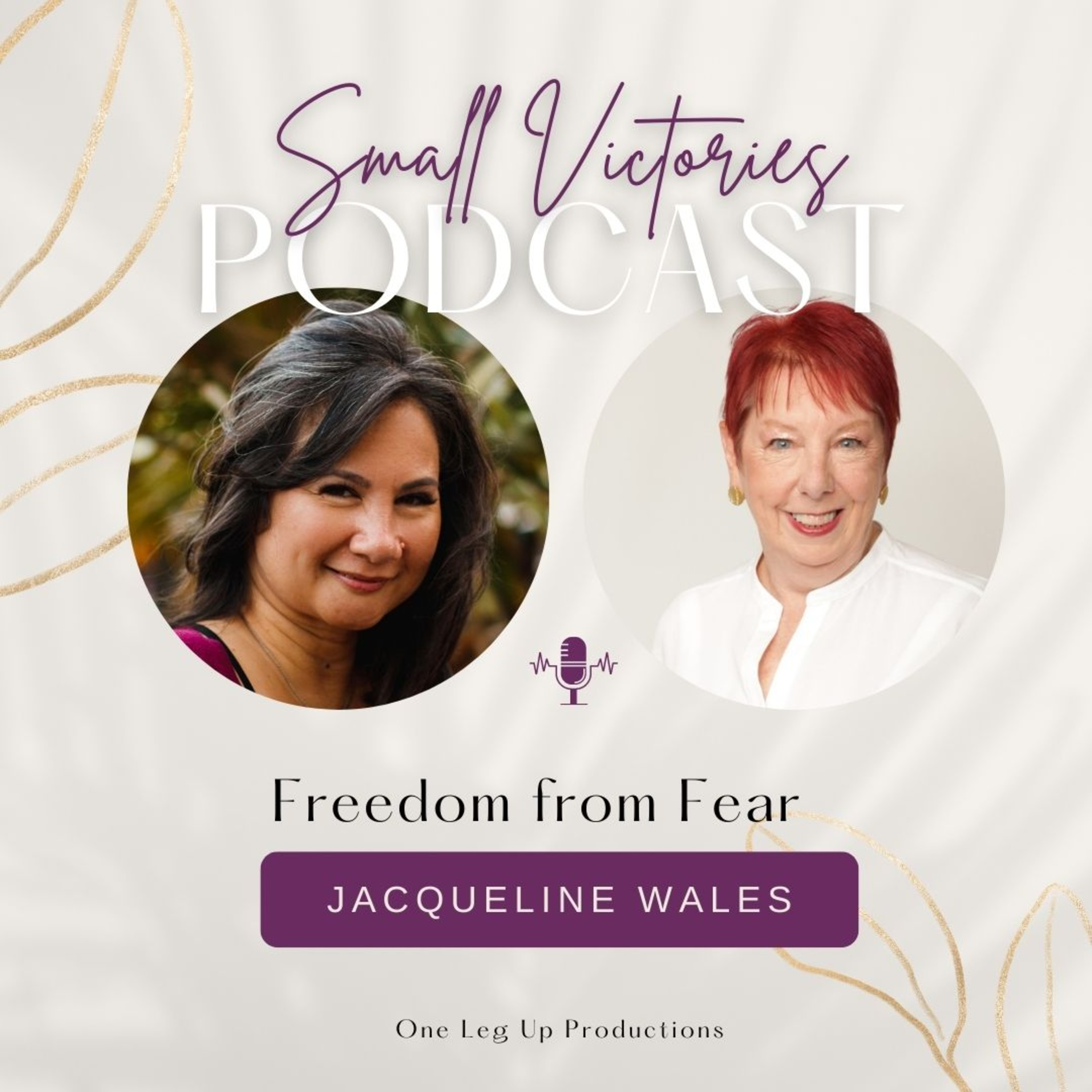 The Small Victories Podcast