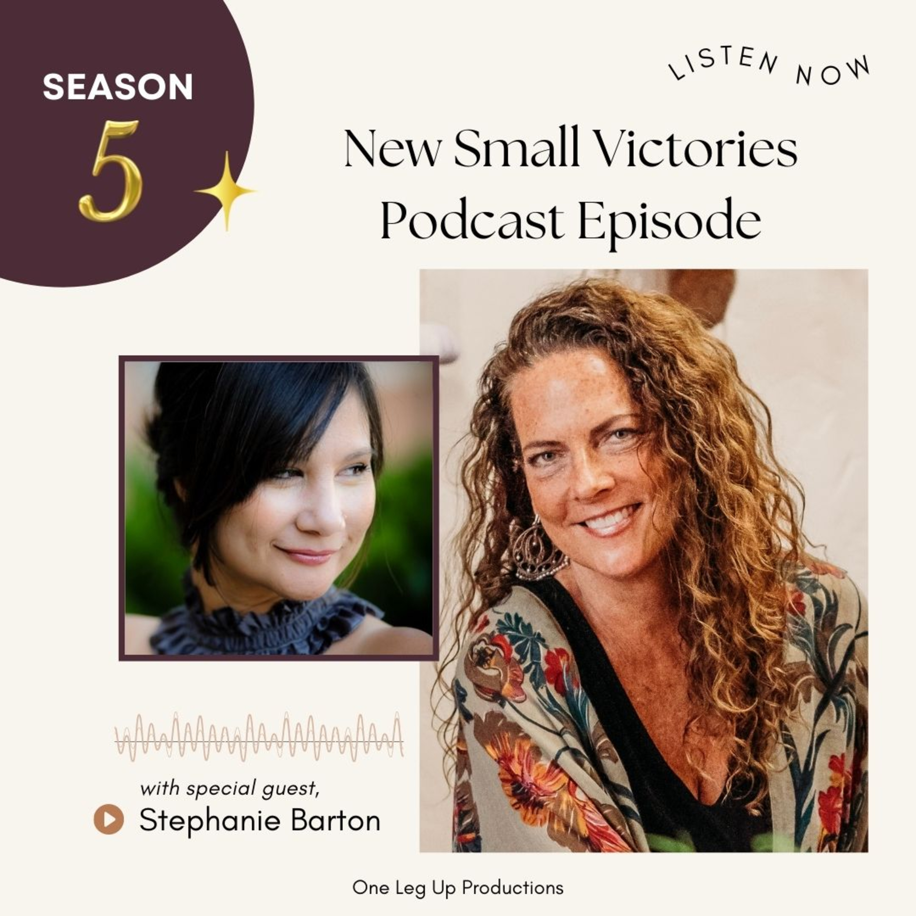 The Small Victories Podcast