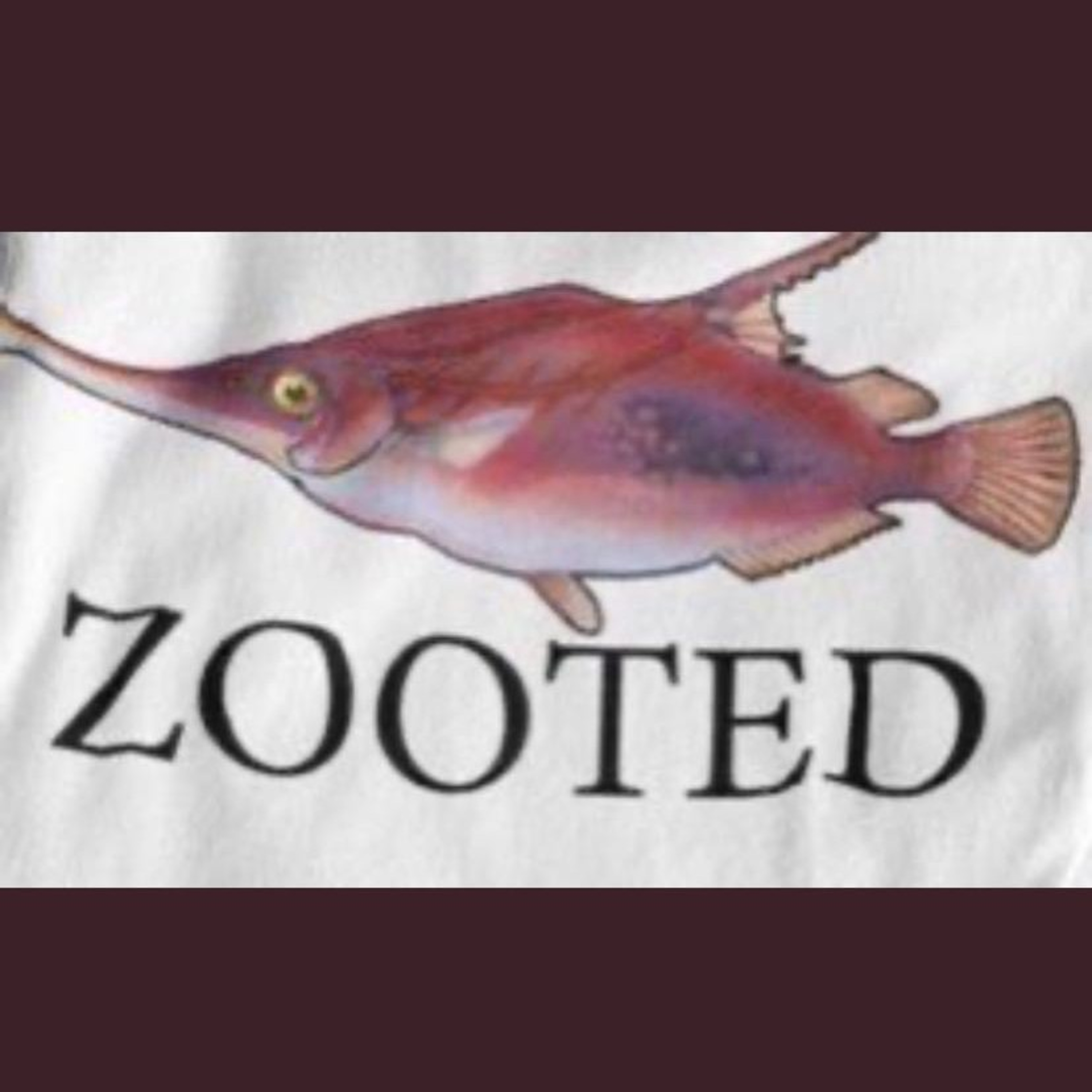 Zooted Podcast