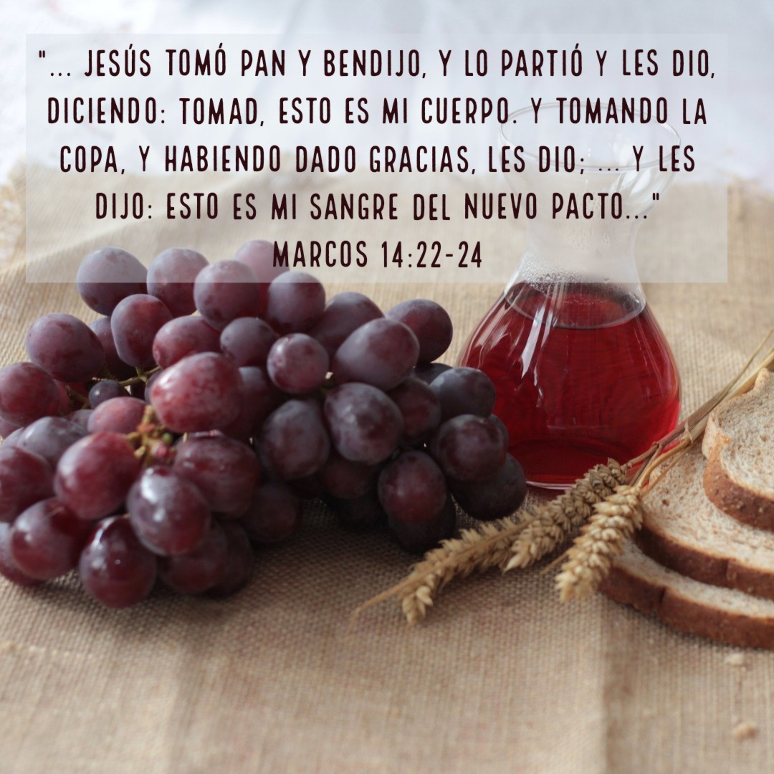 Ministerio UMCD - Un Momento Con Dios | Reflexiones Cristianas