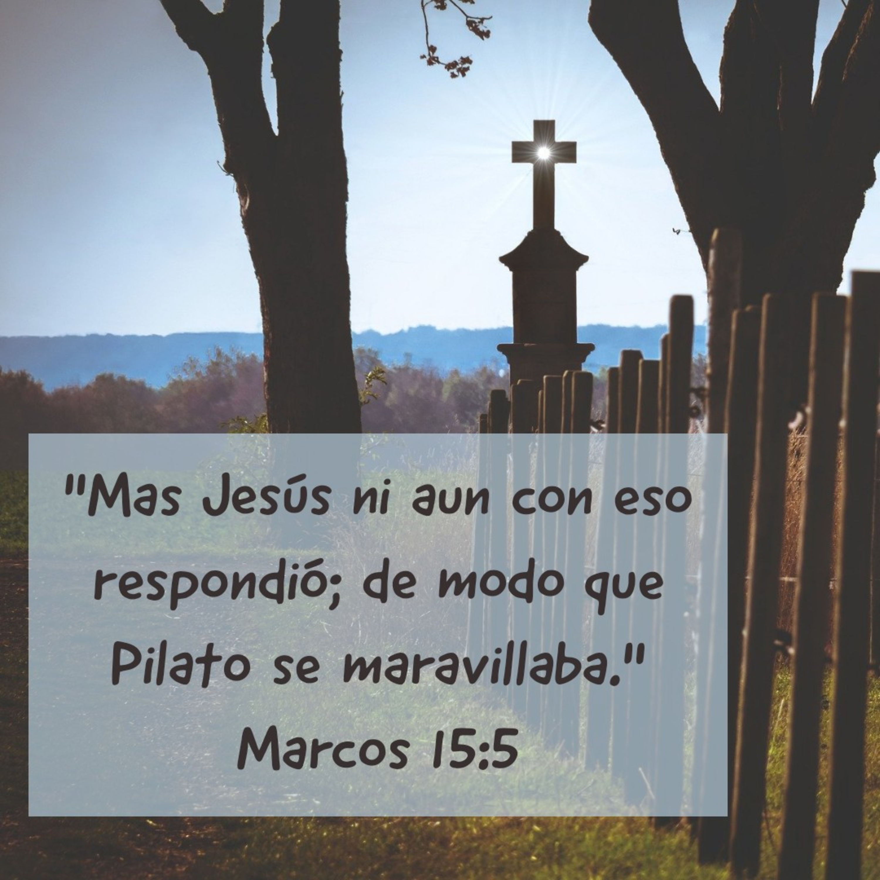 Ministerio UMCD - Un Momento Con Dios | Reflexiones Cristianas