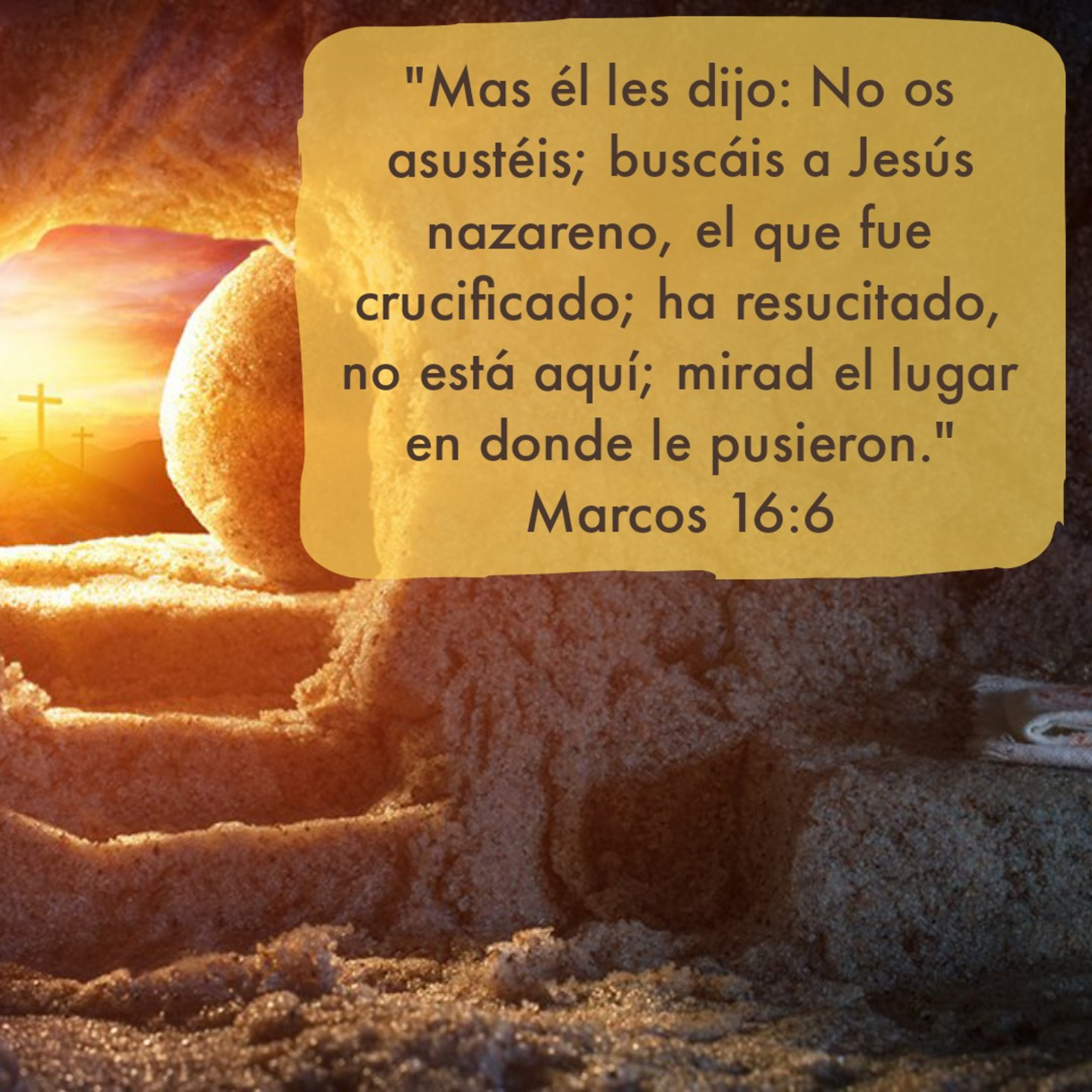 Ministerio UMCD - Un Momento Con Dios | Reflexiones Cristianas