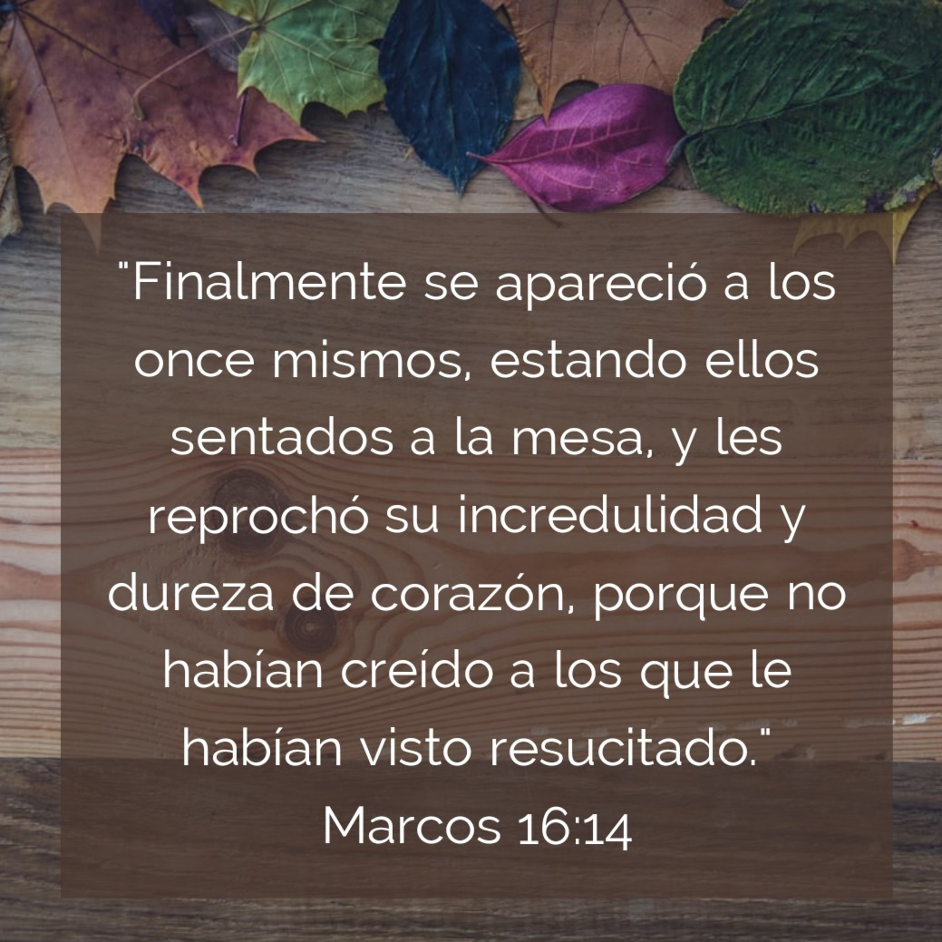 Ministerio UMCD - Un Momento Con Dios | Reflexiones Cristianas