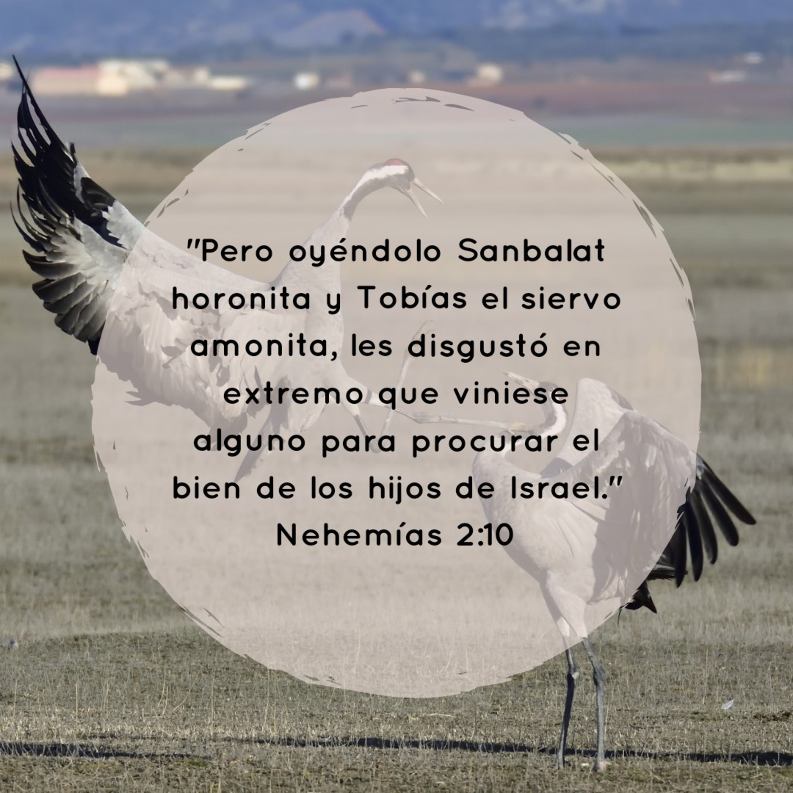 Ministerio UMCD - Un Momento Con Dios | Reflexiones Cristianas