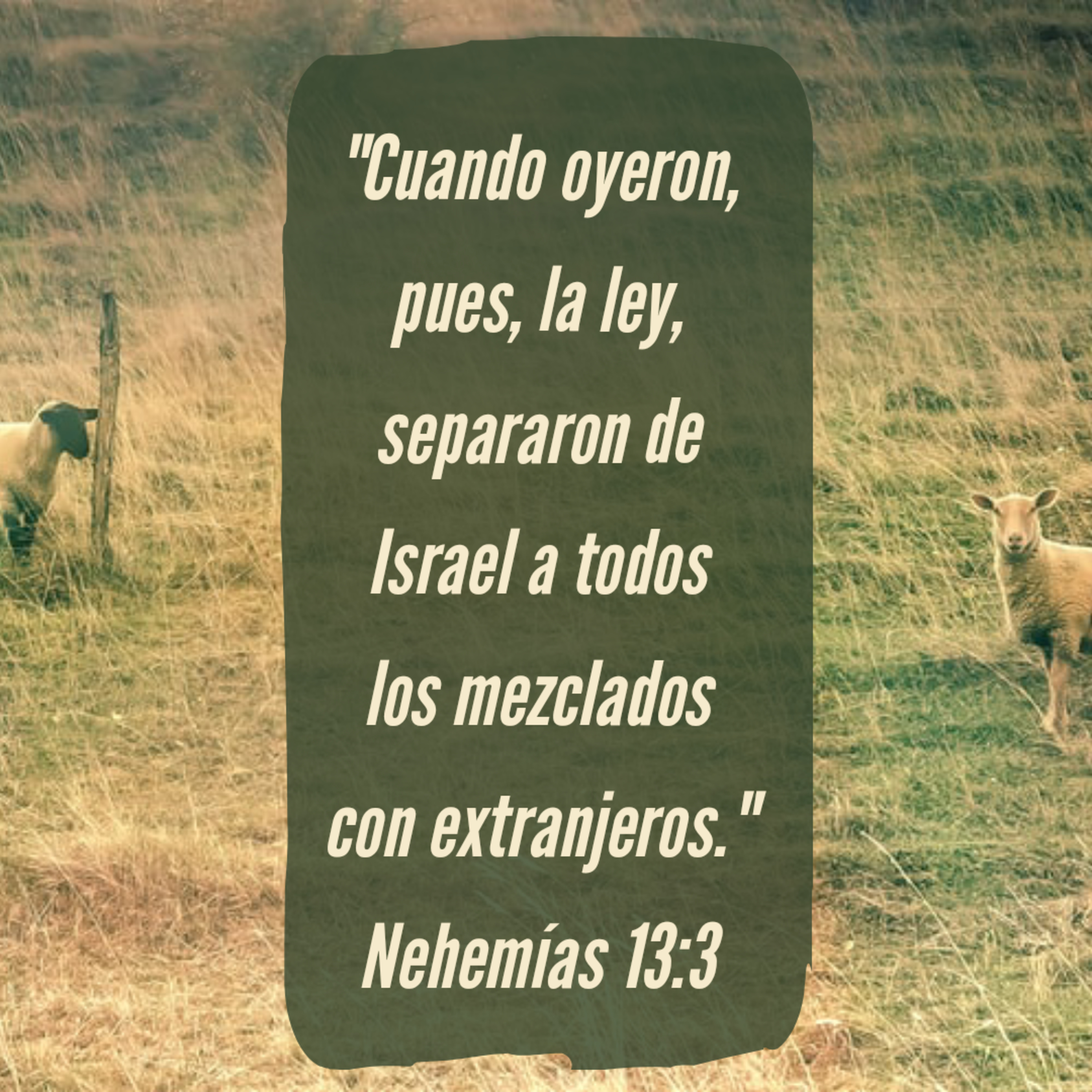 Ministerio UMCD - Un Momento Con Dios | Reflexiones Cristianas