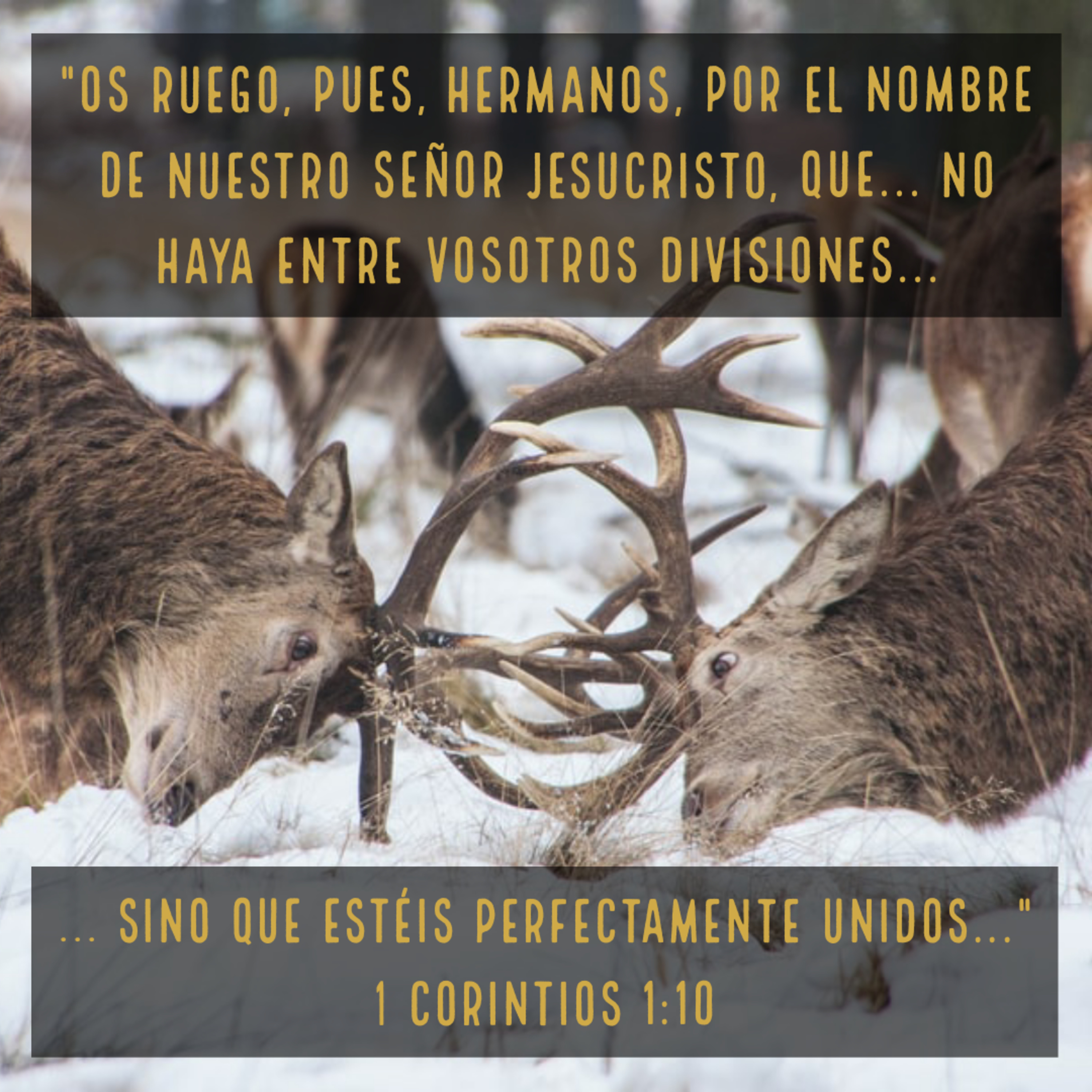 Ministerio UMCD - Un Momento Con Dios | Reflexiones Cristianas