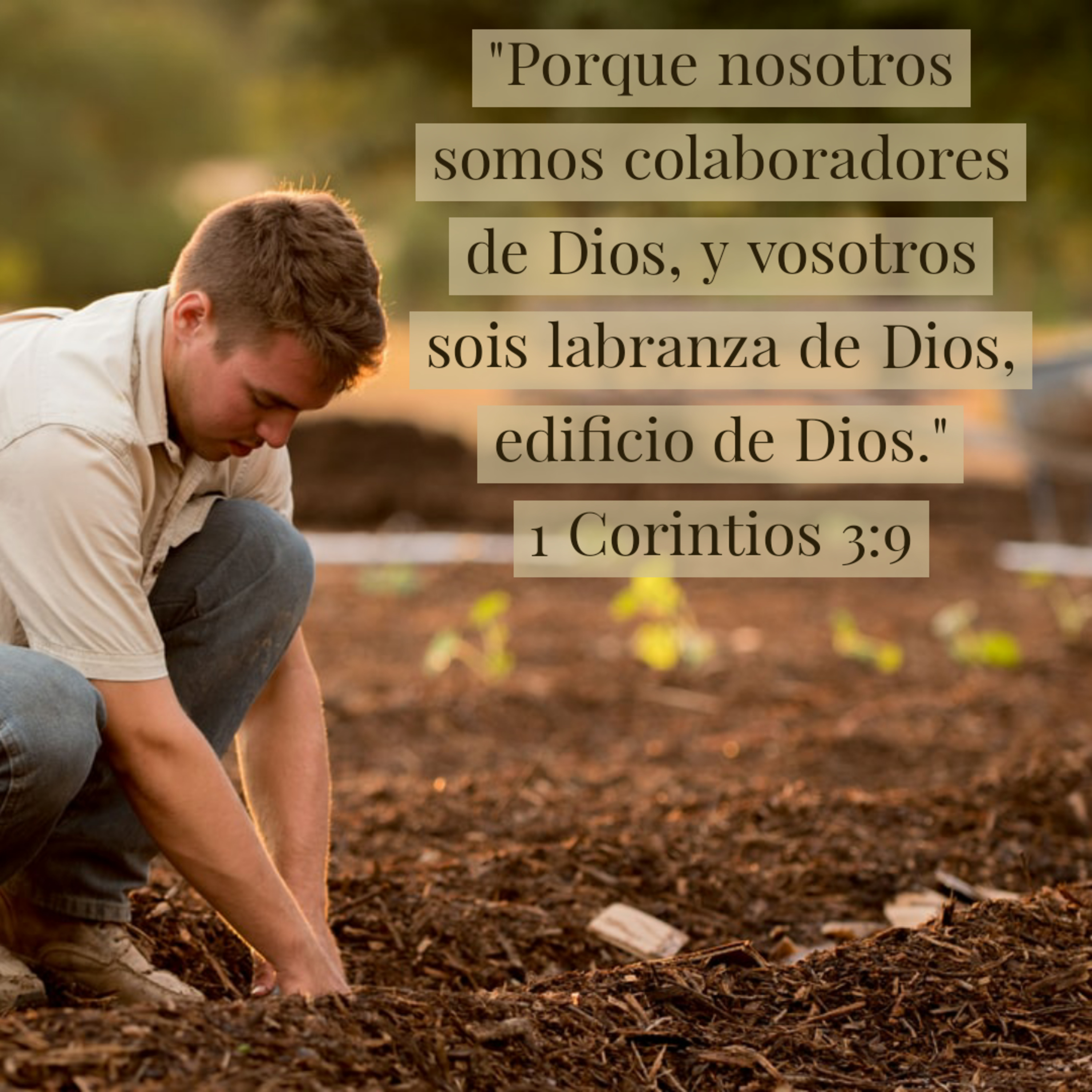 Ministerio UMCD - Un Momento Con Dios | Reflexiones Cristianas