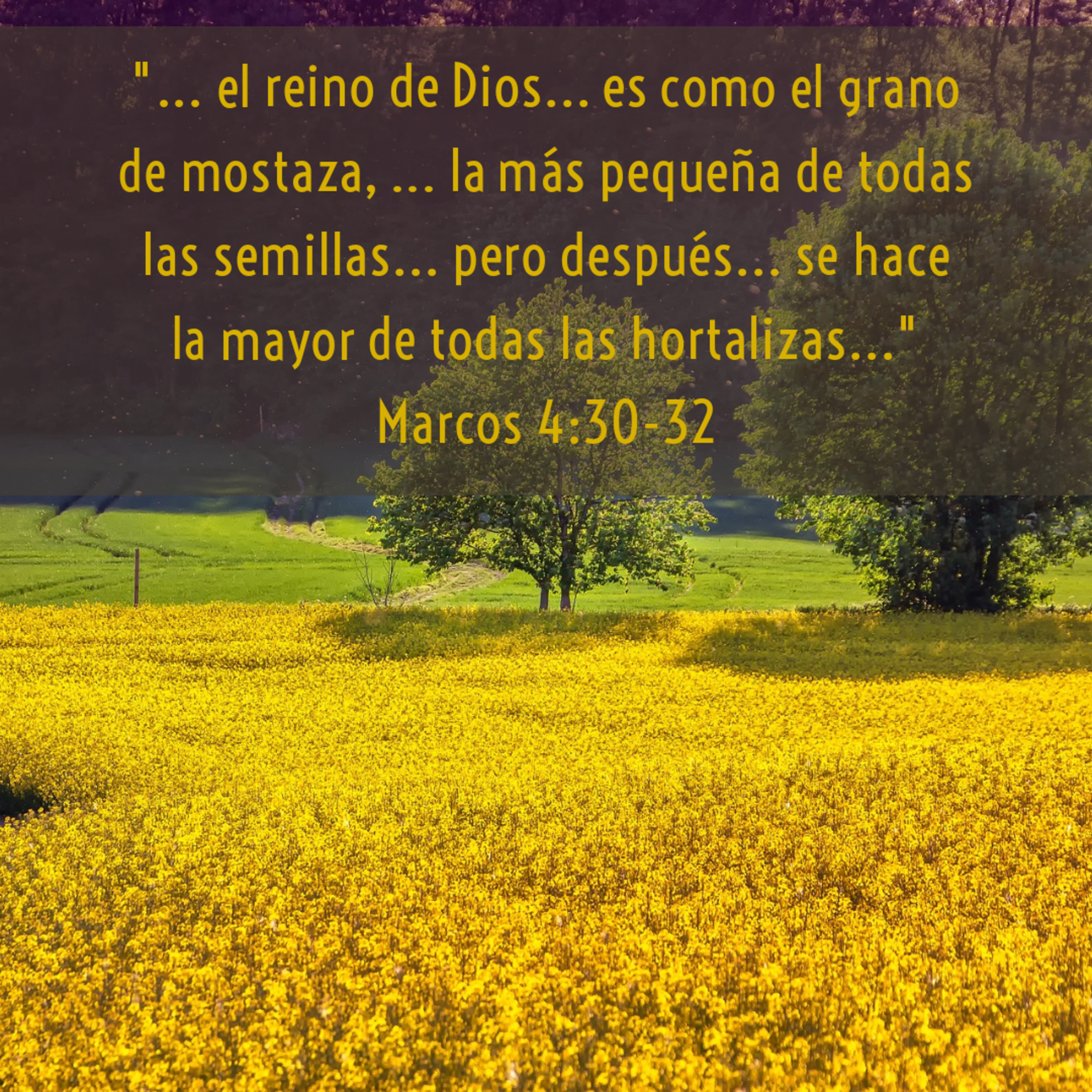 Ministerio UMCD - Un Momento Con Dios | Reflexiones Cristianas