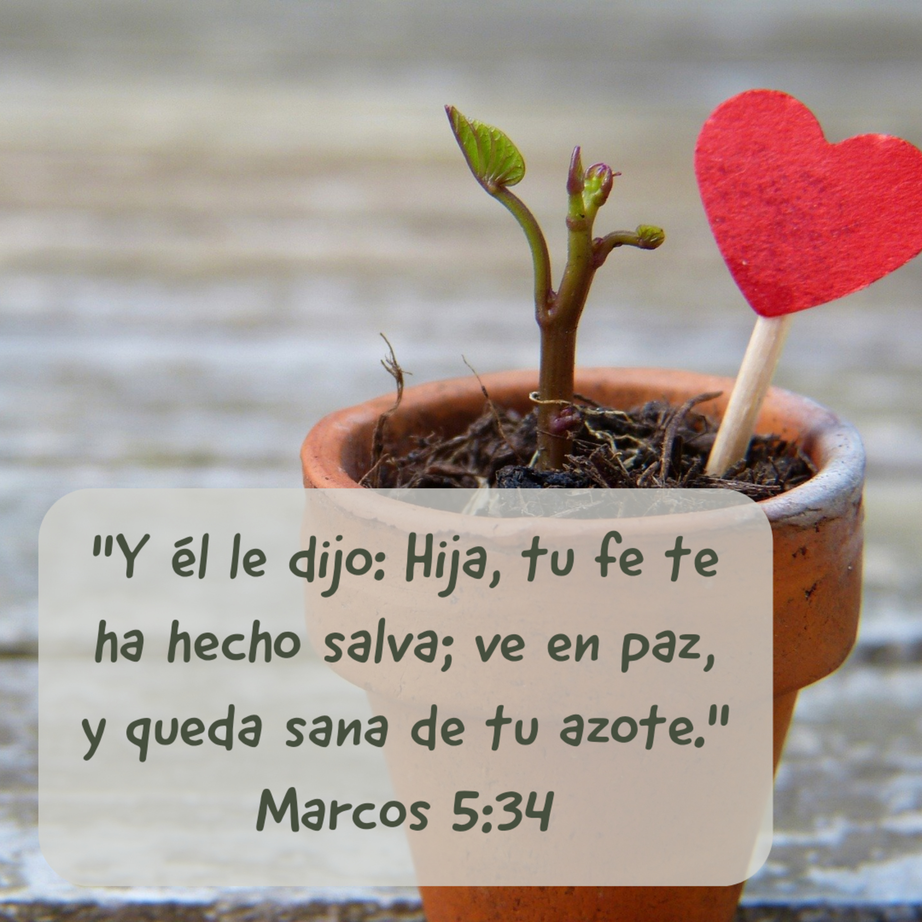 Ministerio UMCD - Un Momento Con Dios | Reflexiones Cristianas