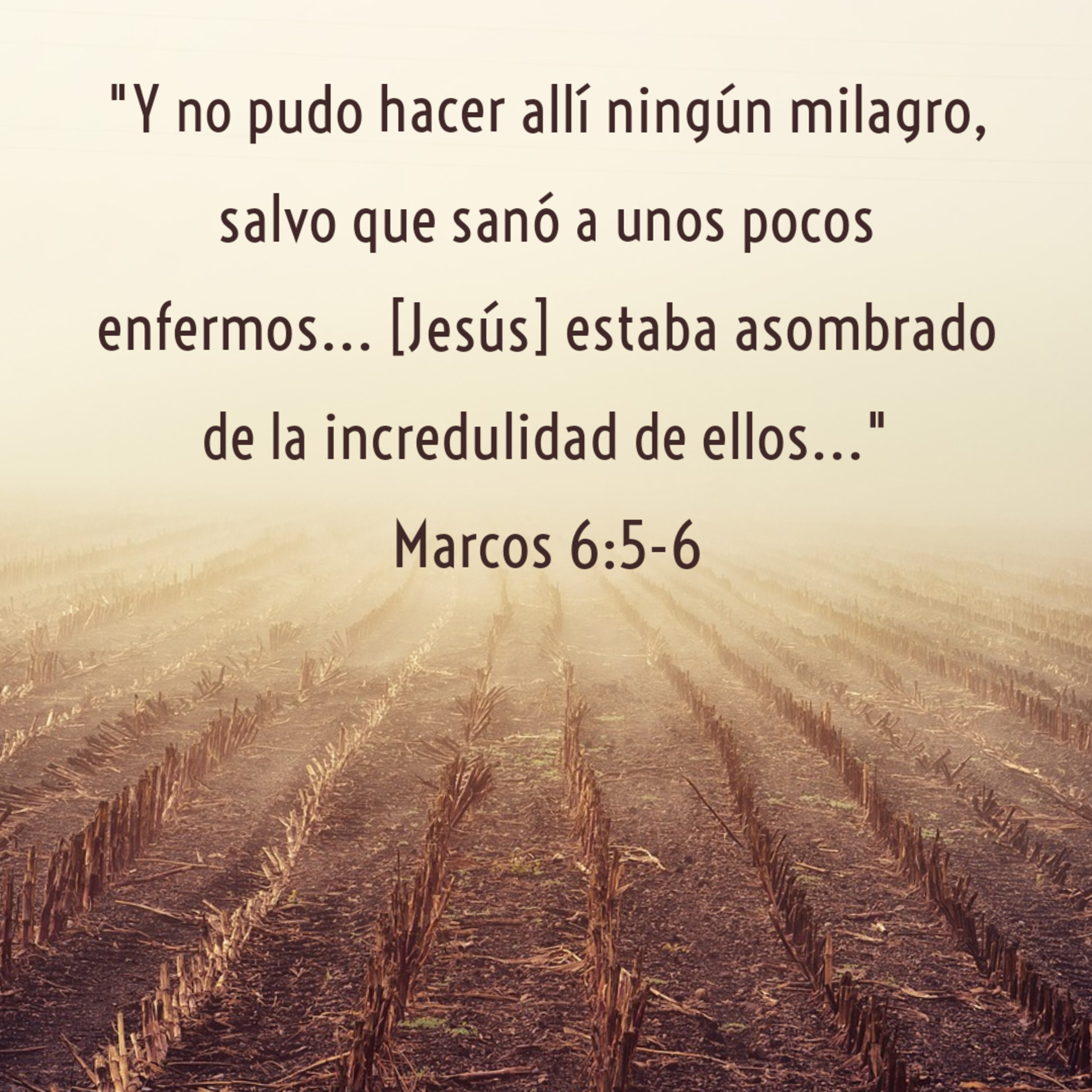 Ministerio UMCD - Un Momento Con Dios | Reflexiones Cristianas