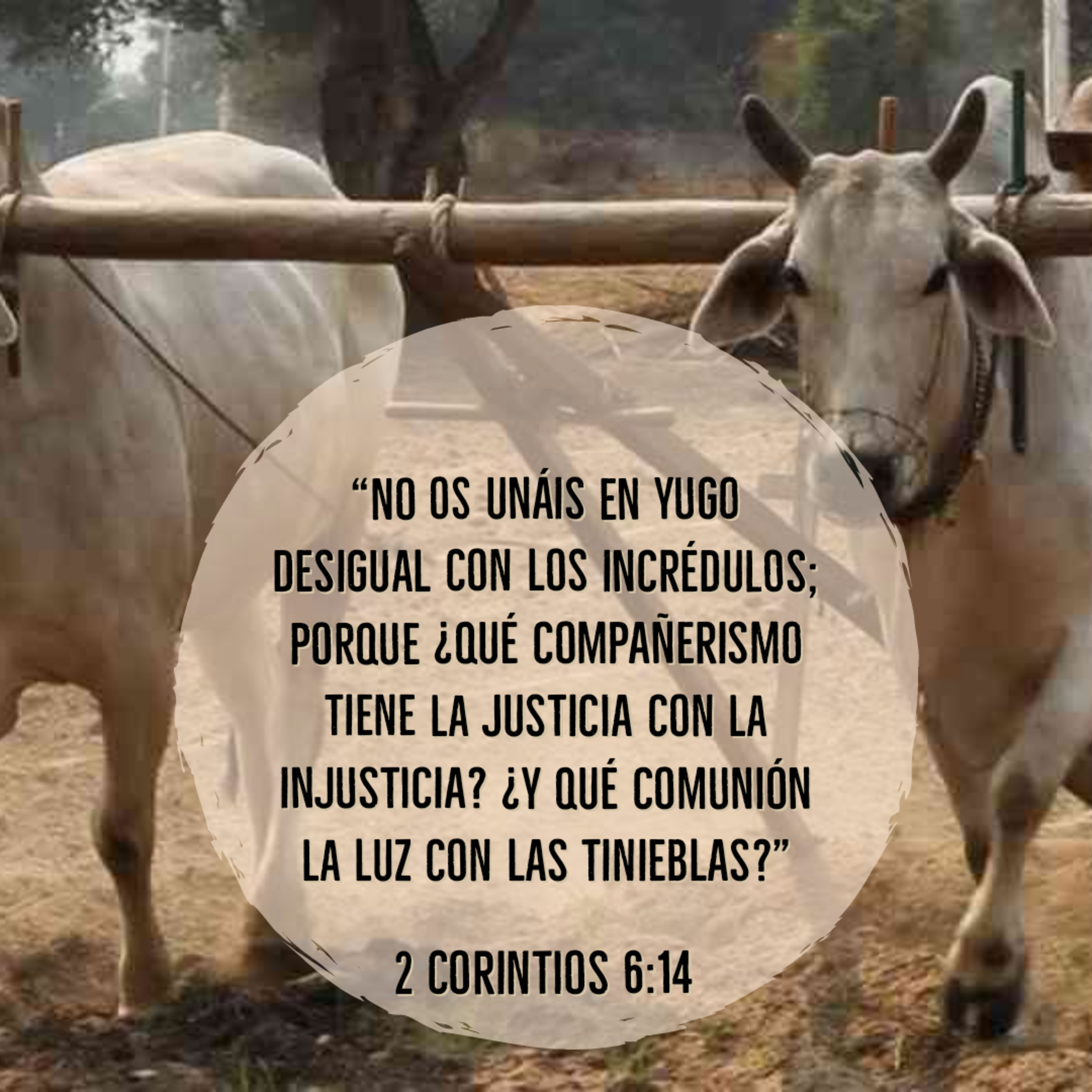 Ministerio UMCD - Un Momento Con Dios | Reflexiones Cristianas