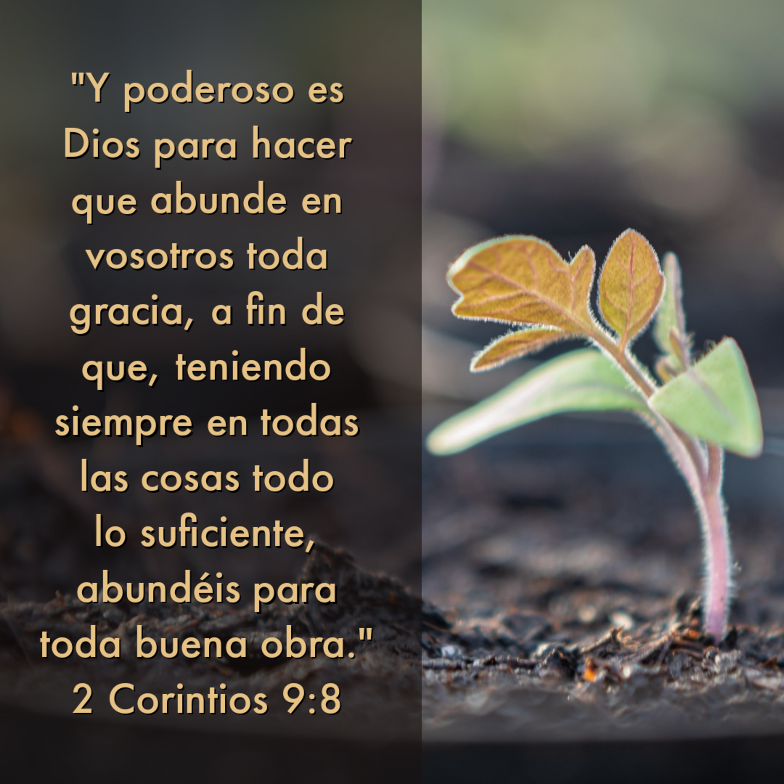 Ministerio UMCD - Un Momento Con Dios | Reflexiones Cristianas