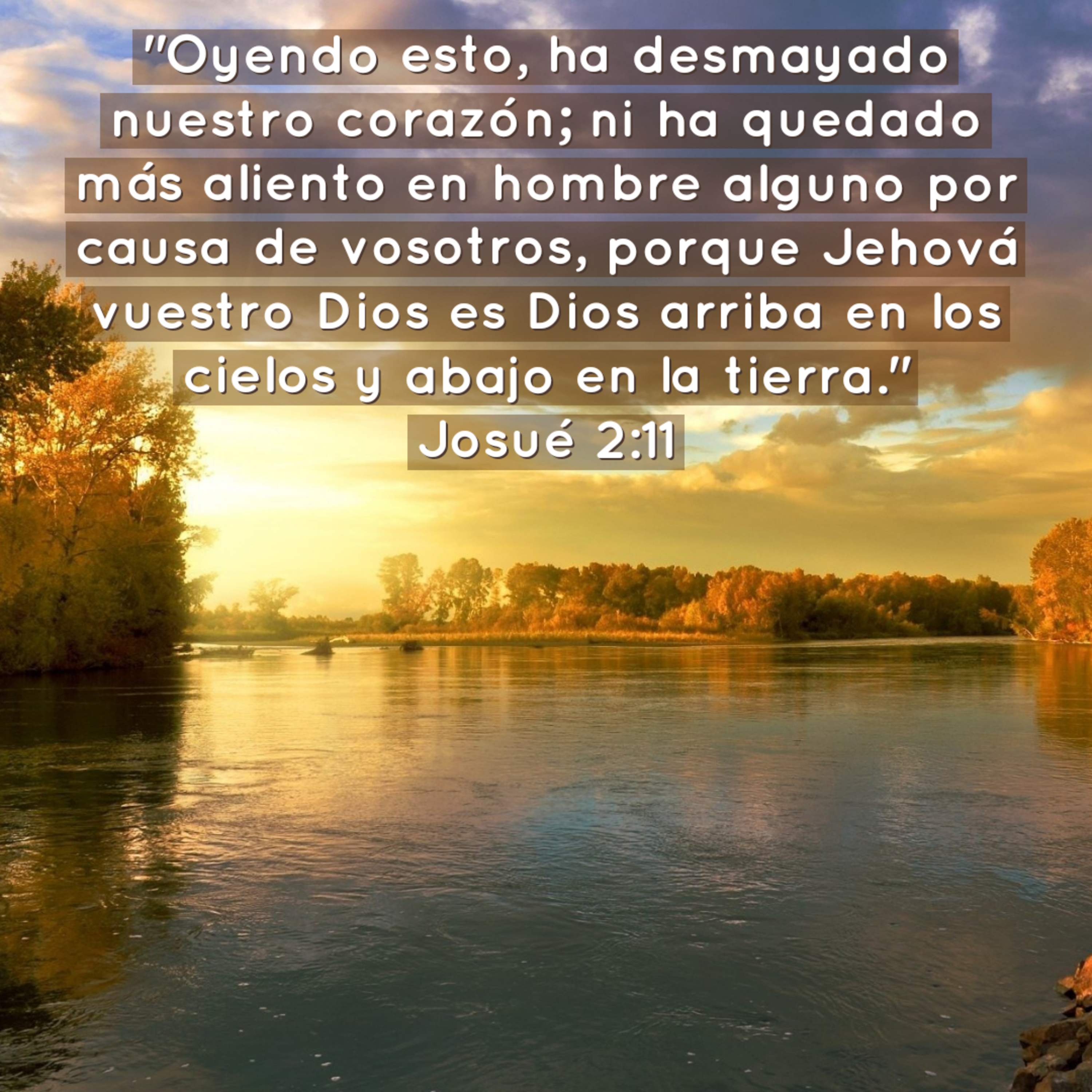 Ministerio UMCD - Un Momento Con Dios | Reflexiones Cristianas