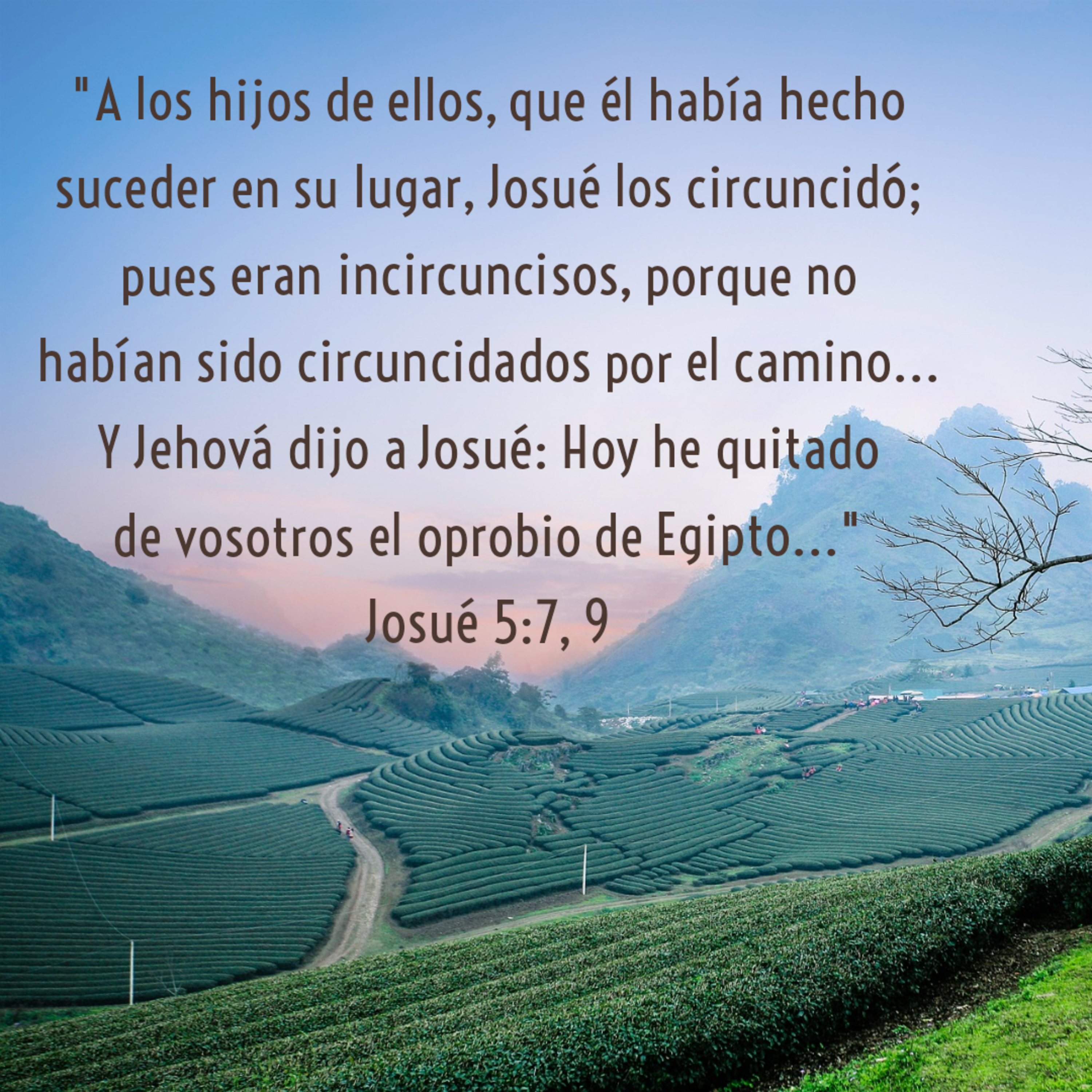 Ministerio UMCD - Un Momento Con Dios | Reflexiones Cristianas