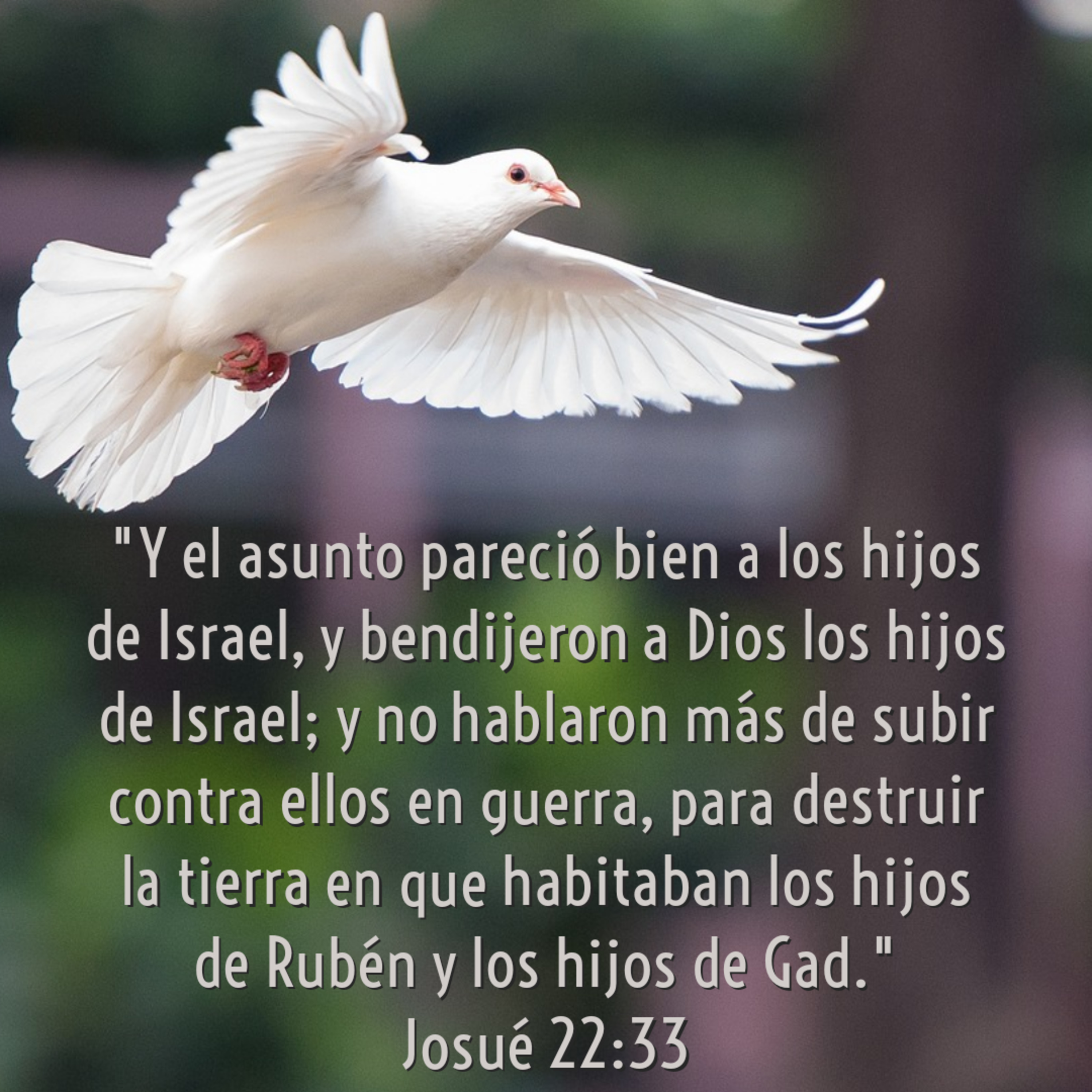 Ministerio UMCD - Un Momento Con Dios | Reflexiones Cristianas