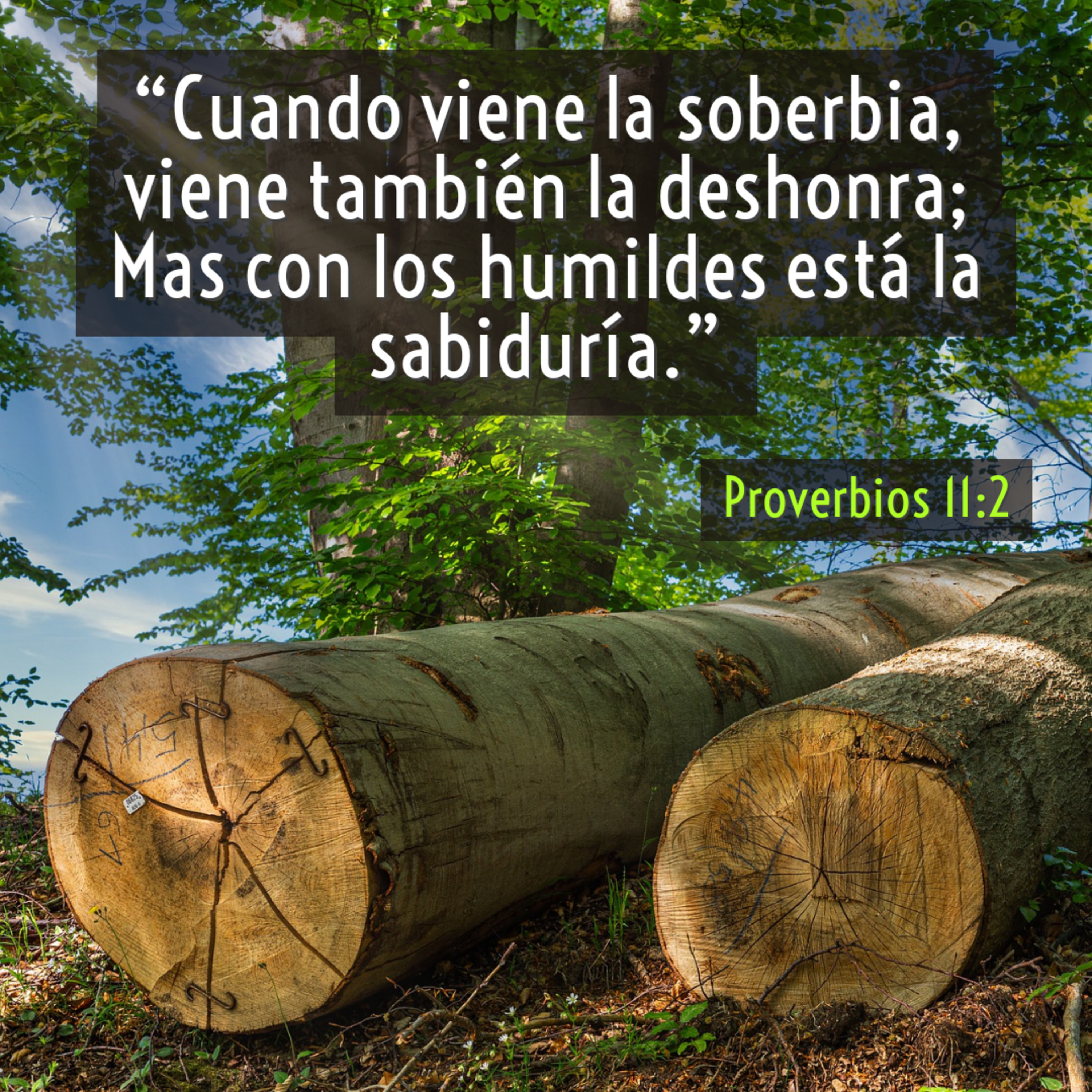 Ministerio UMCD - Un Momento Con Dios | Reflexiones Cristianas