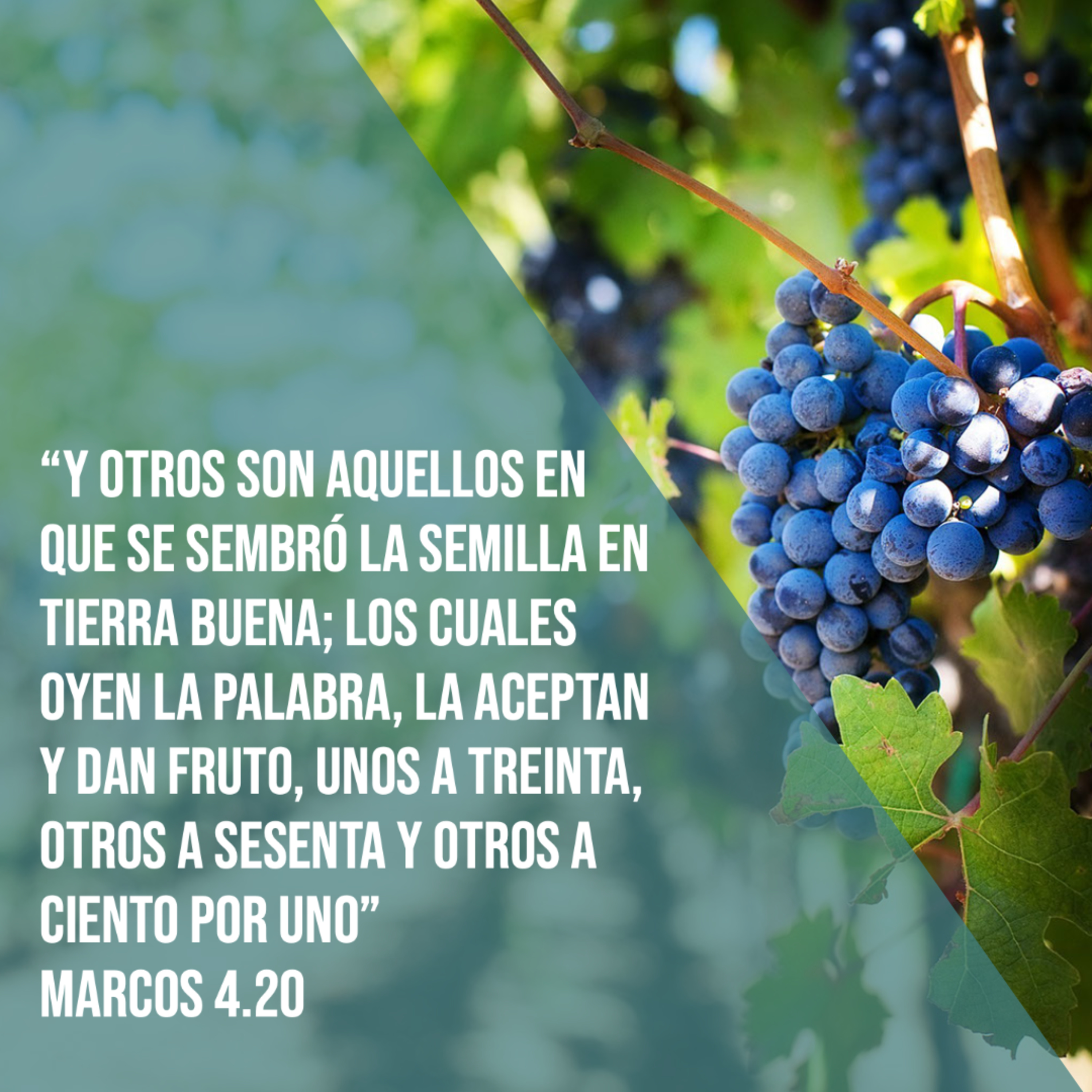 Ministerio UMCD - Un Momento Con Dios | Reflexiones Cristianas