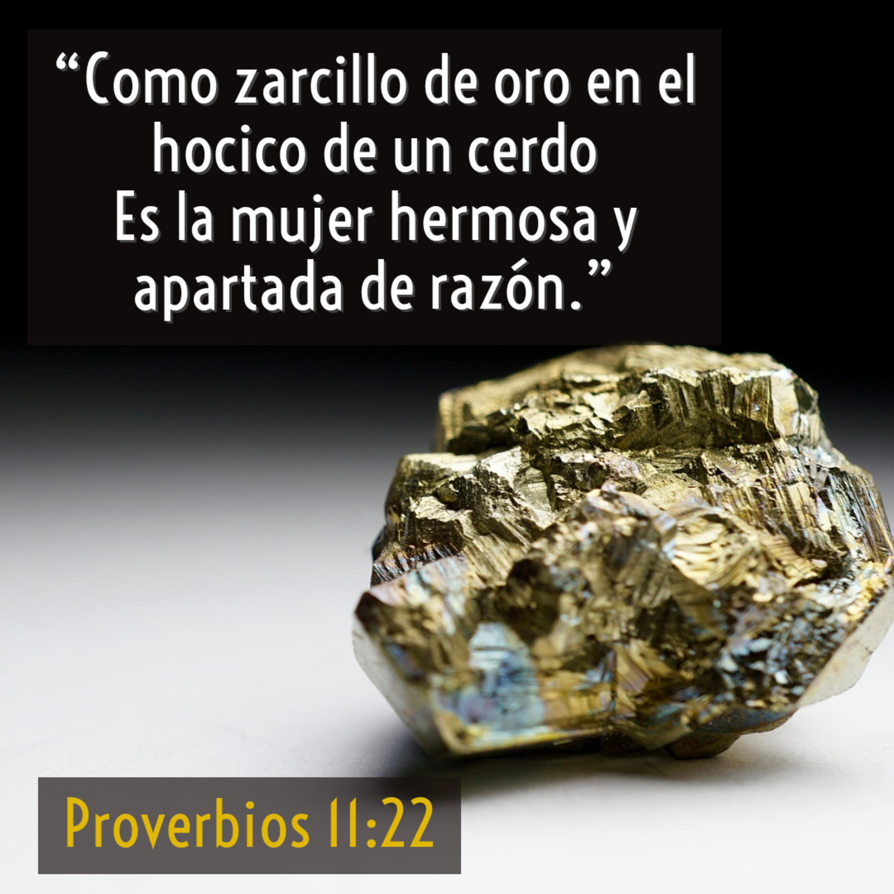 Ministerio UMCD - Un Momento Con Dios | Reflexiones Cristianas
