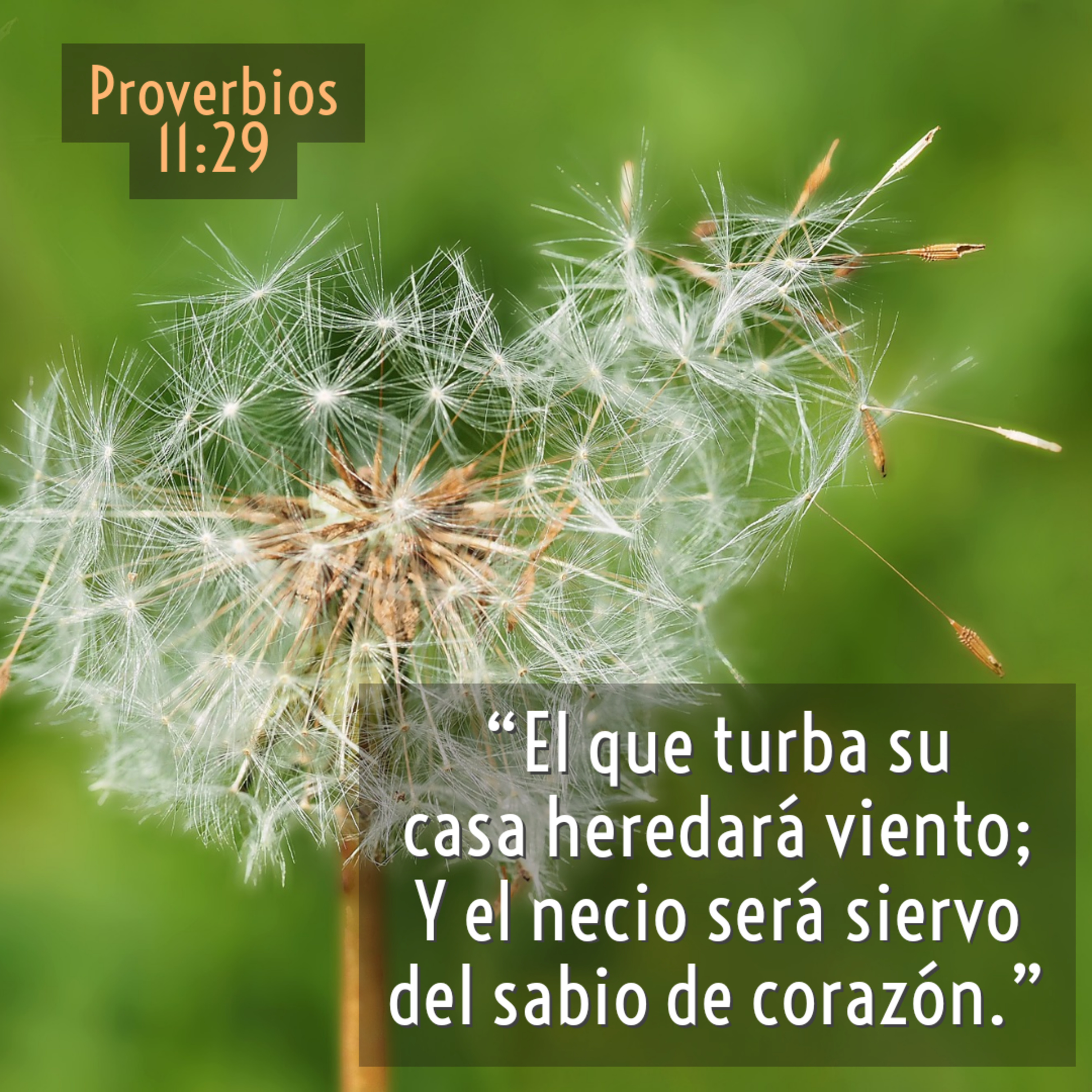 Ministerio UMCD - Un Momento Con Dios | Reflexiones Cristianas