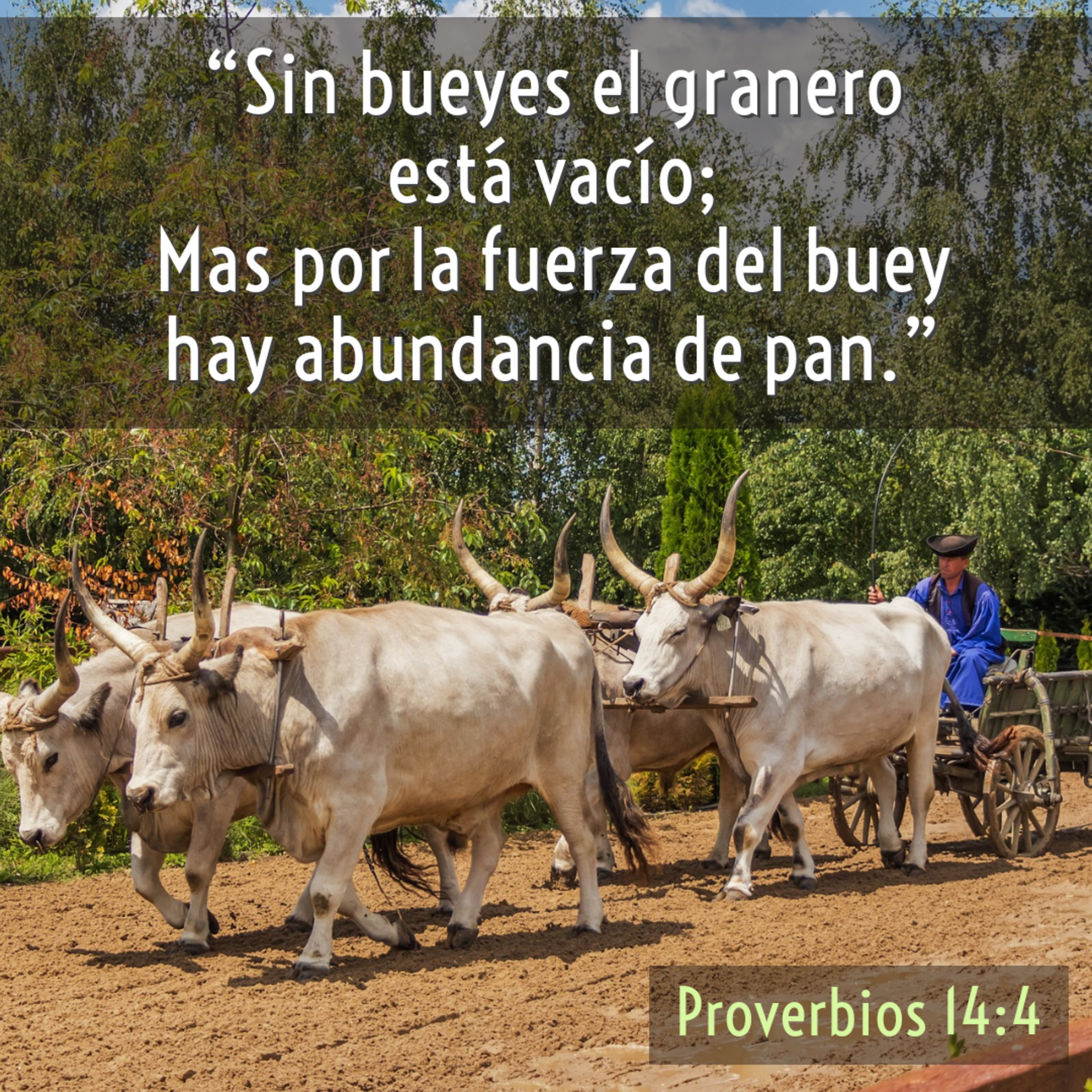 Ministerio UMCD - Un Momento Con Dios | Reflexiones Cristianas