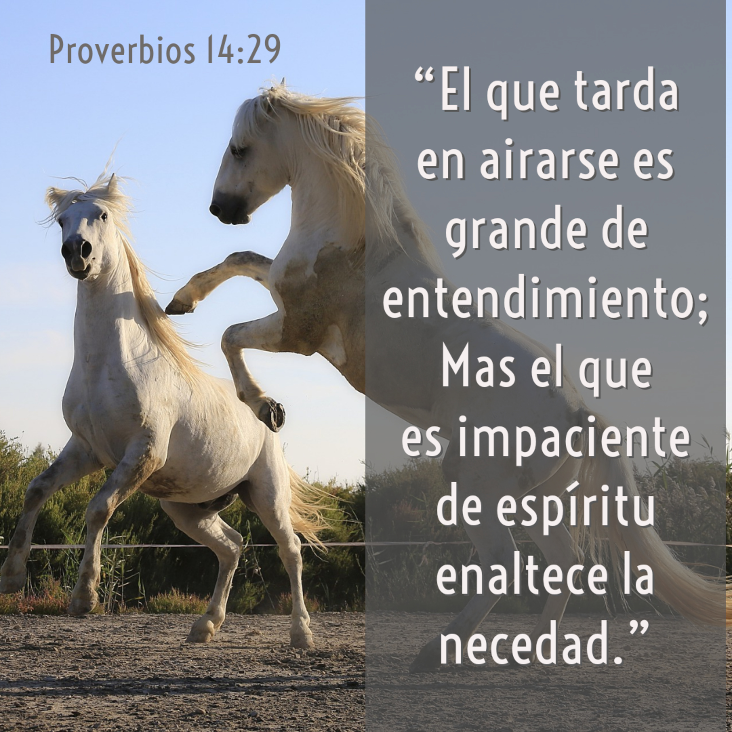 Ministerio UMCD - Un Momento Con Dios | Reflexiones Cristianas
