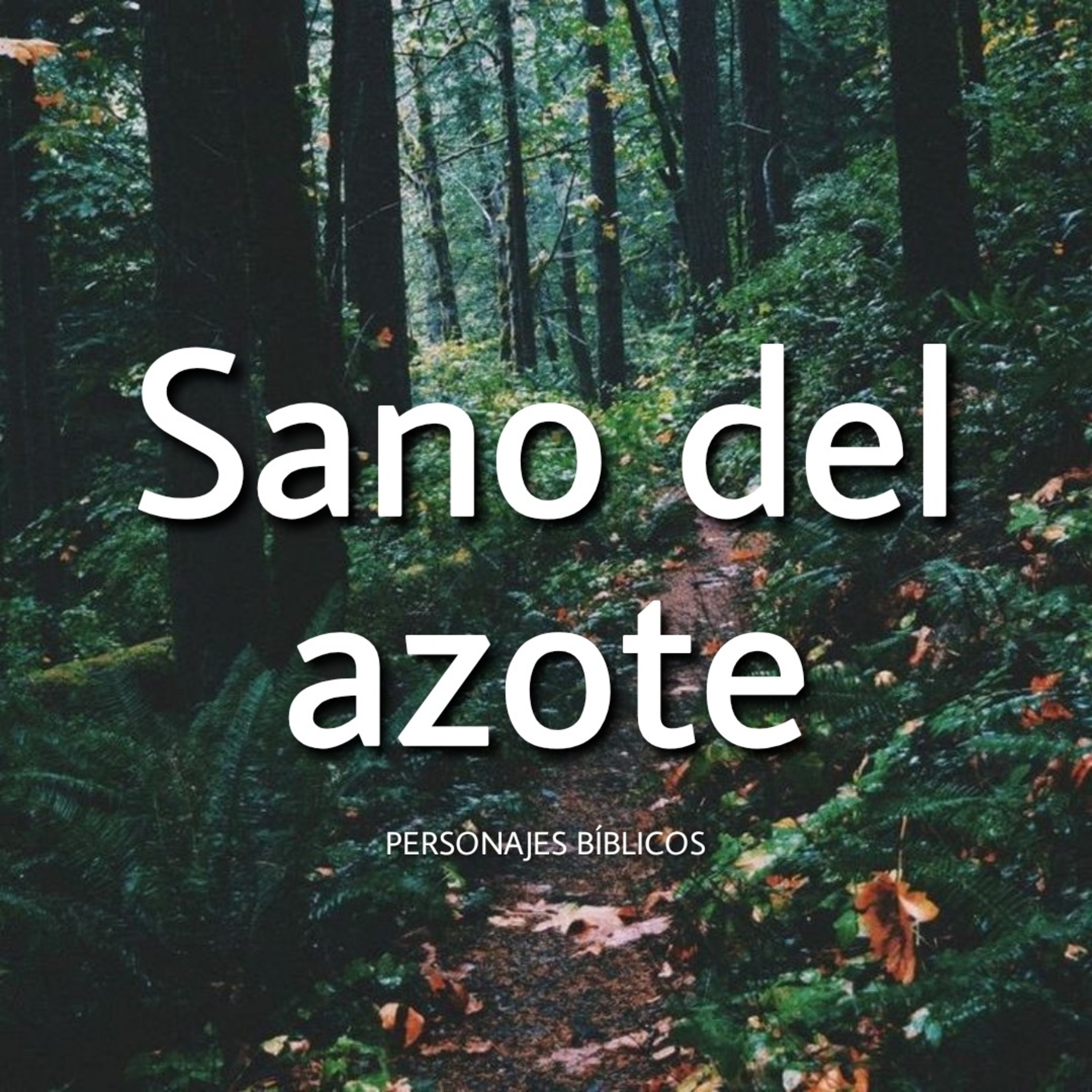 Sano del azote episode artwork