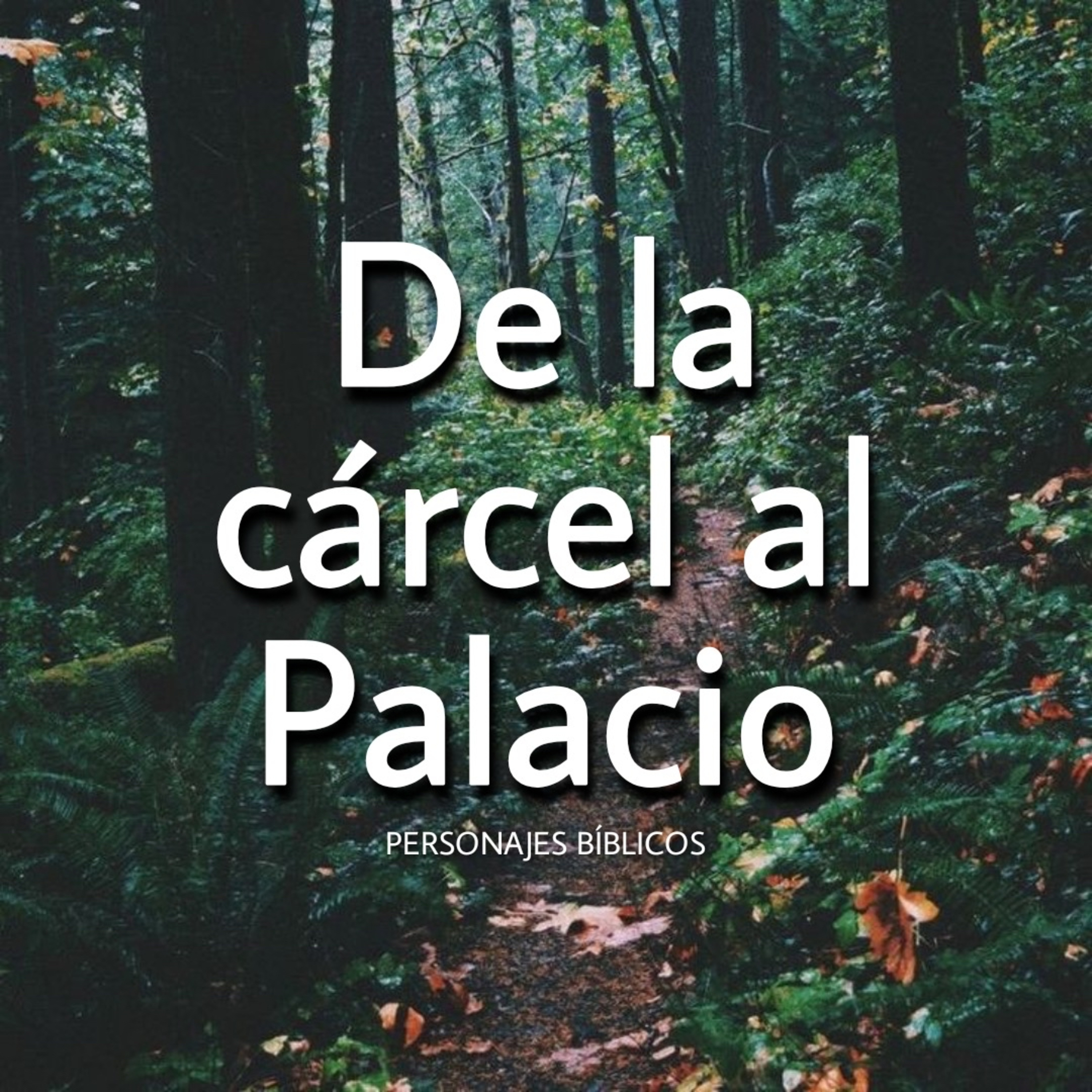 De la cárcel al Palacio episode artwork