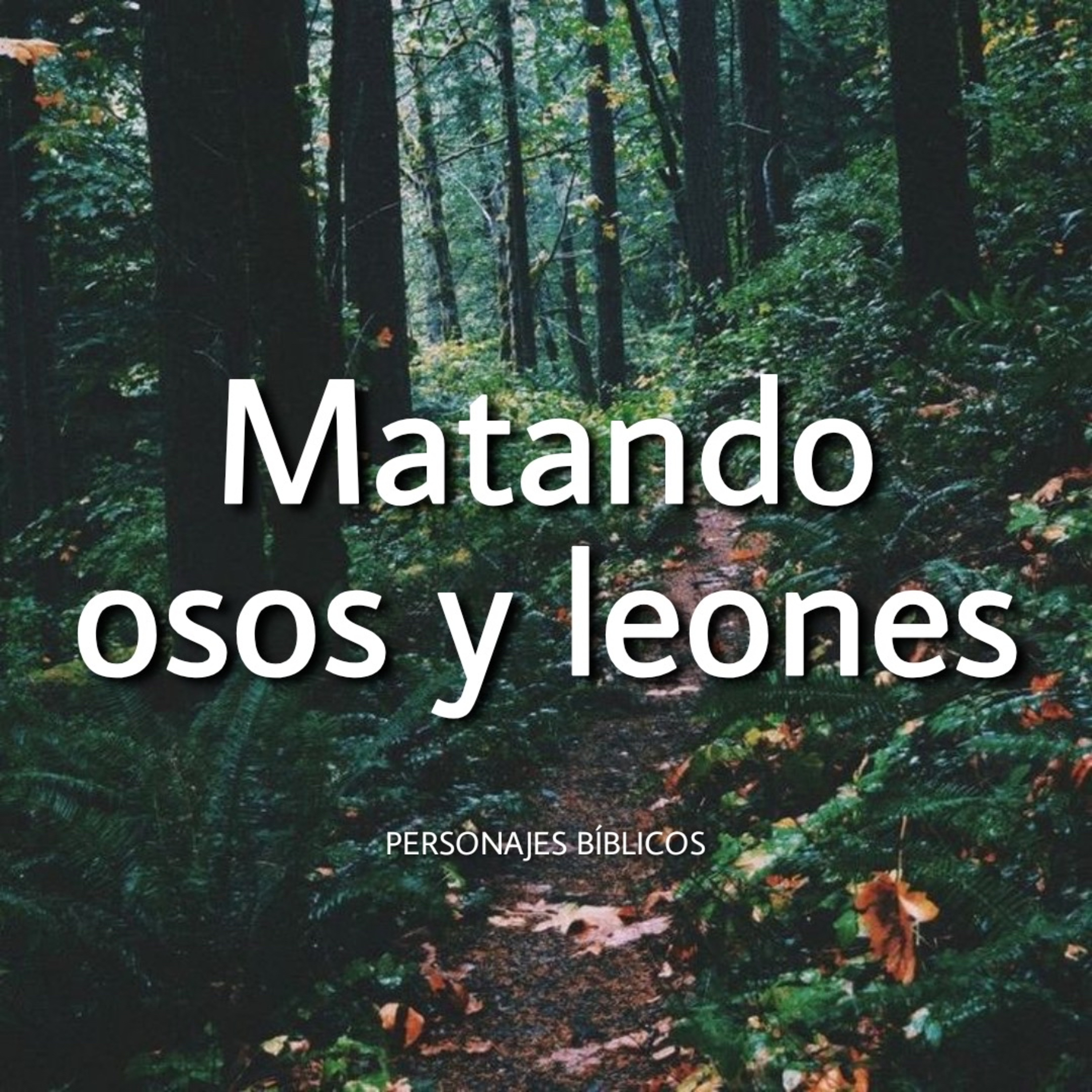 Matando osos y leones episode artwork