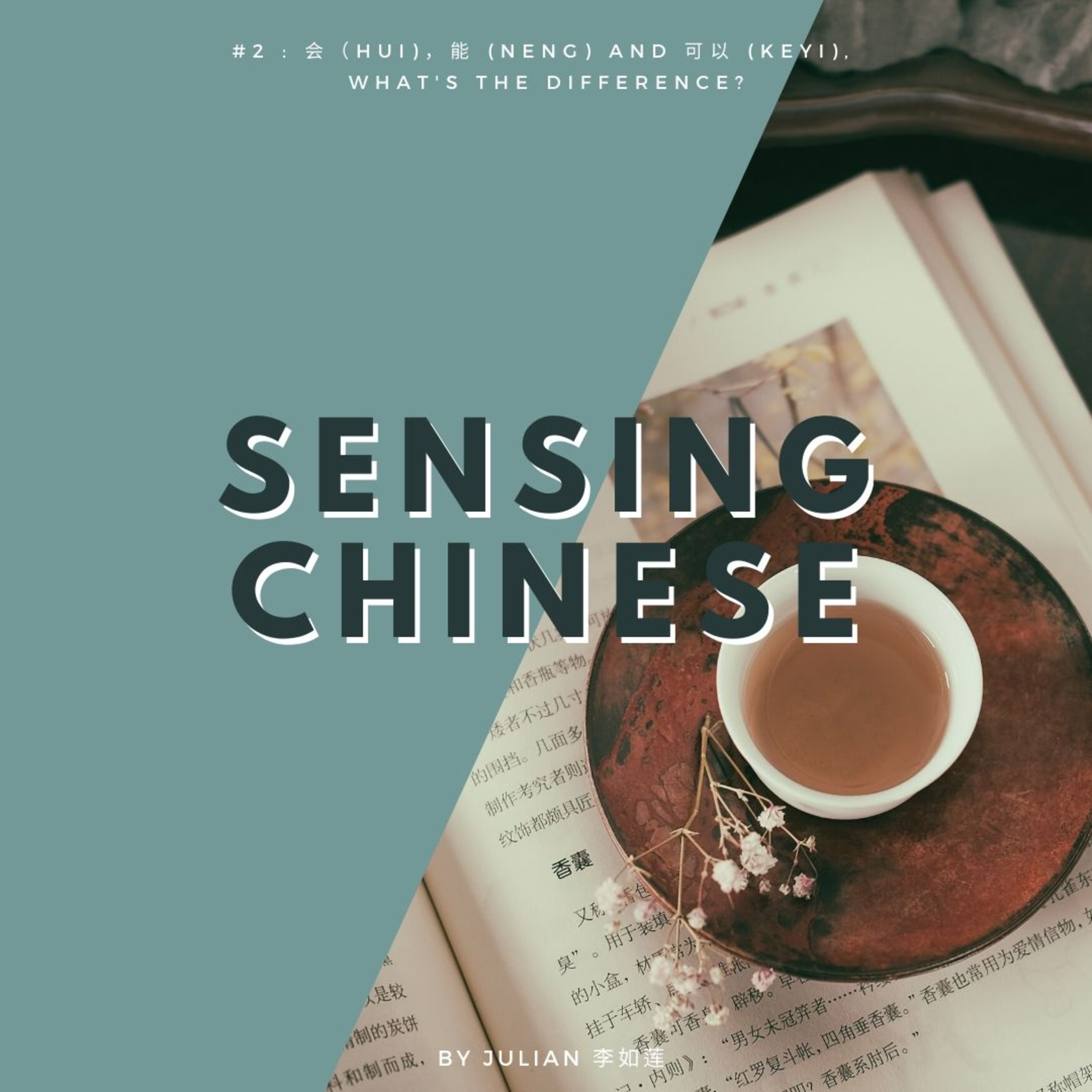 Sensing Chinese 汉语感 Diary and Reflections