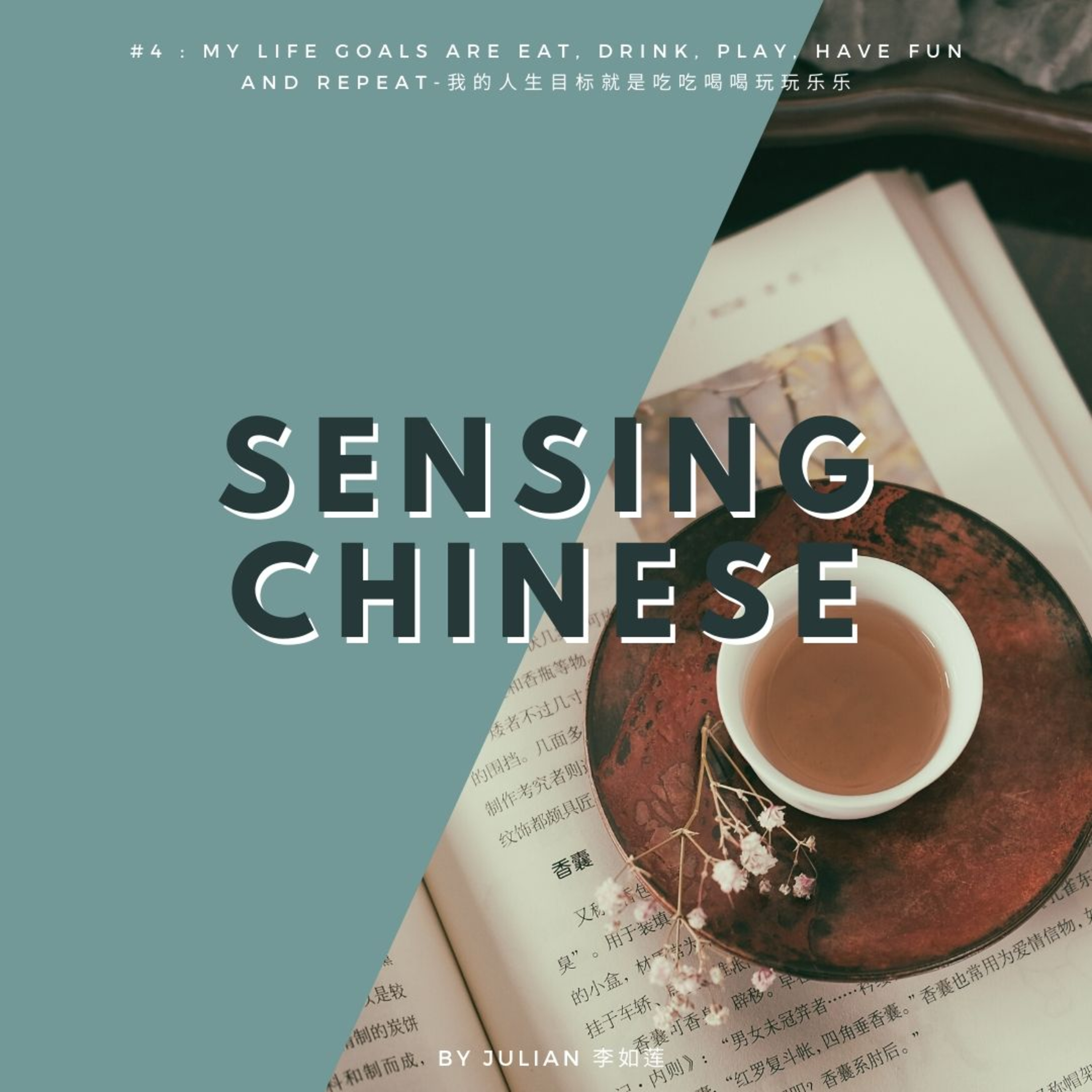 Sensing Grammar #2: The Reduplication of Verb in Chinese  episode artwork